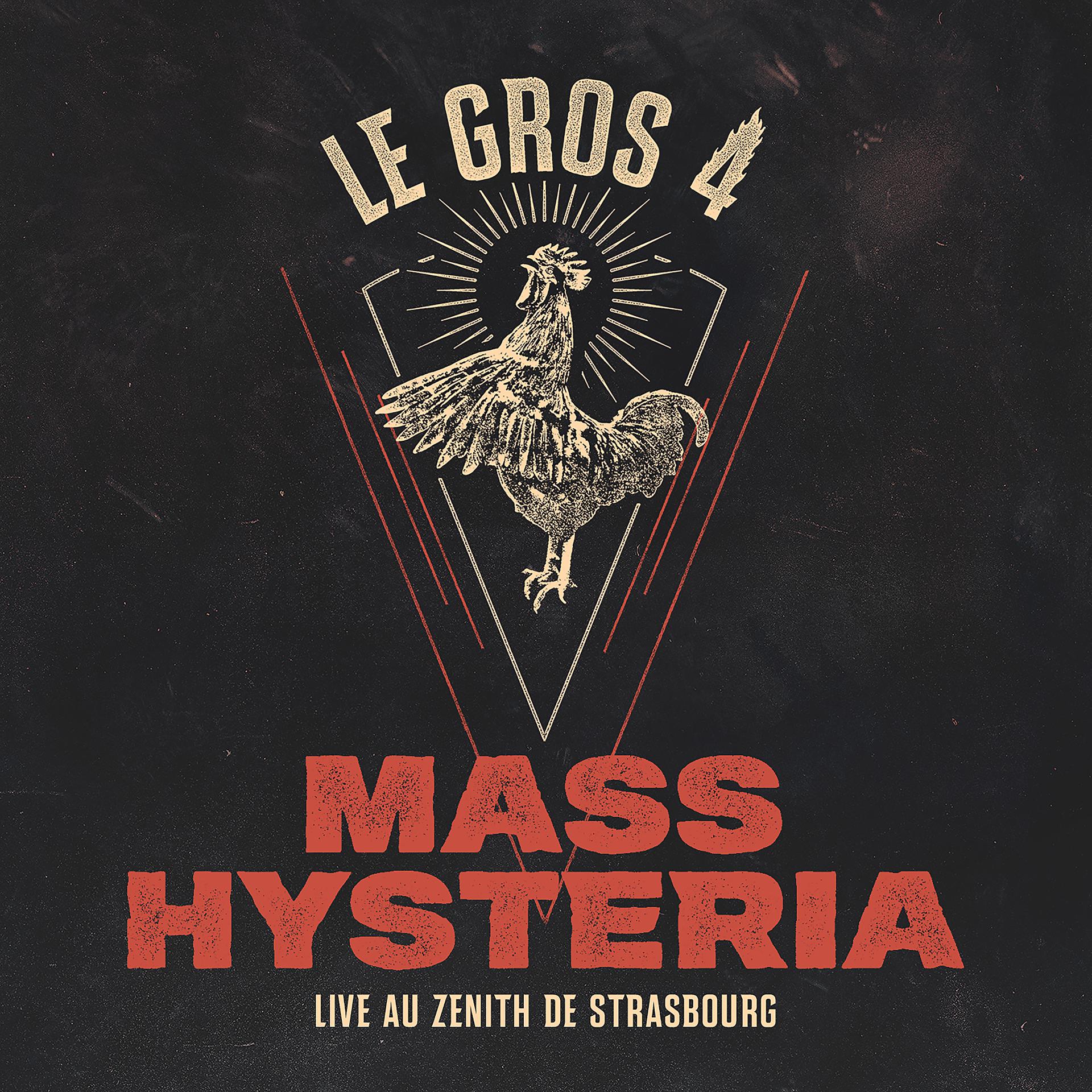 Постер альбома Le Gros 4 : Live au Zénith de Strasbourg