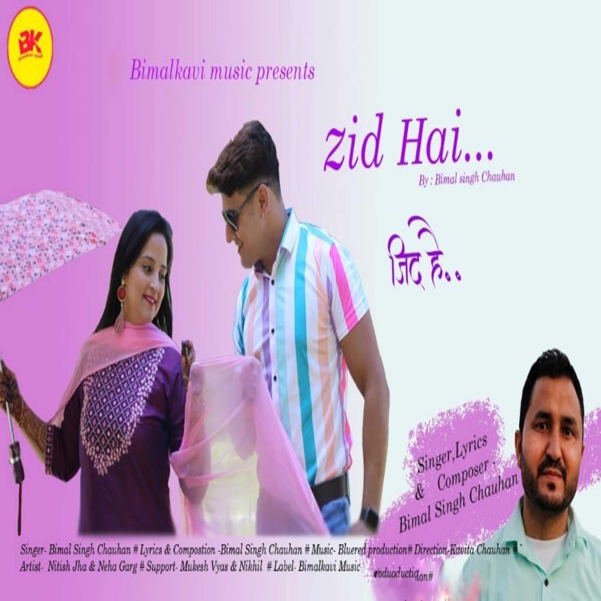 Постер альбома Zid Hai