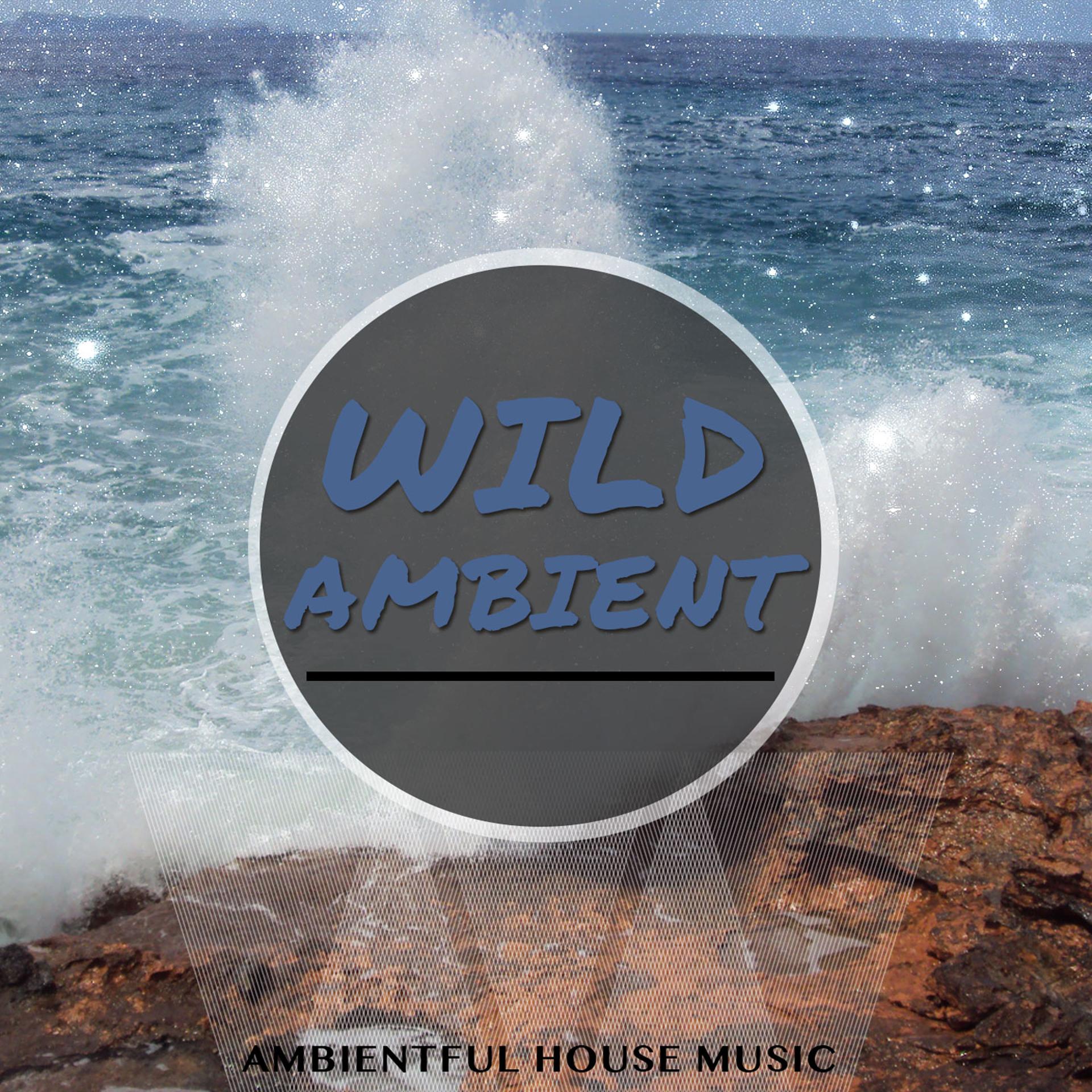 Постер альбома Wild Ambient, Vol. 1