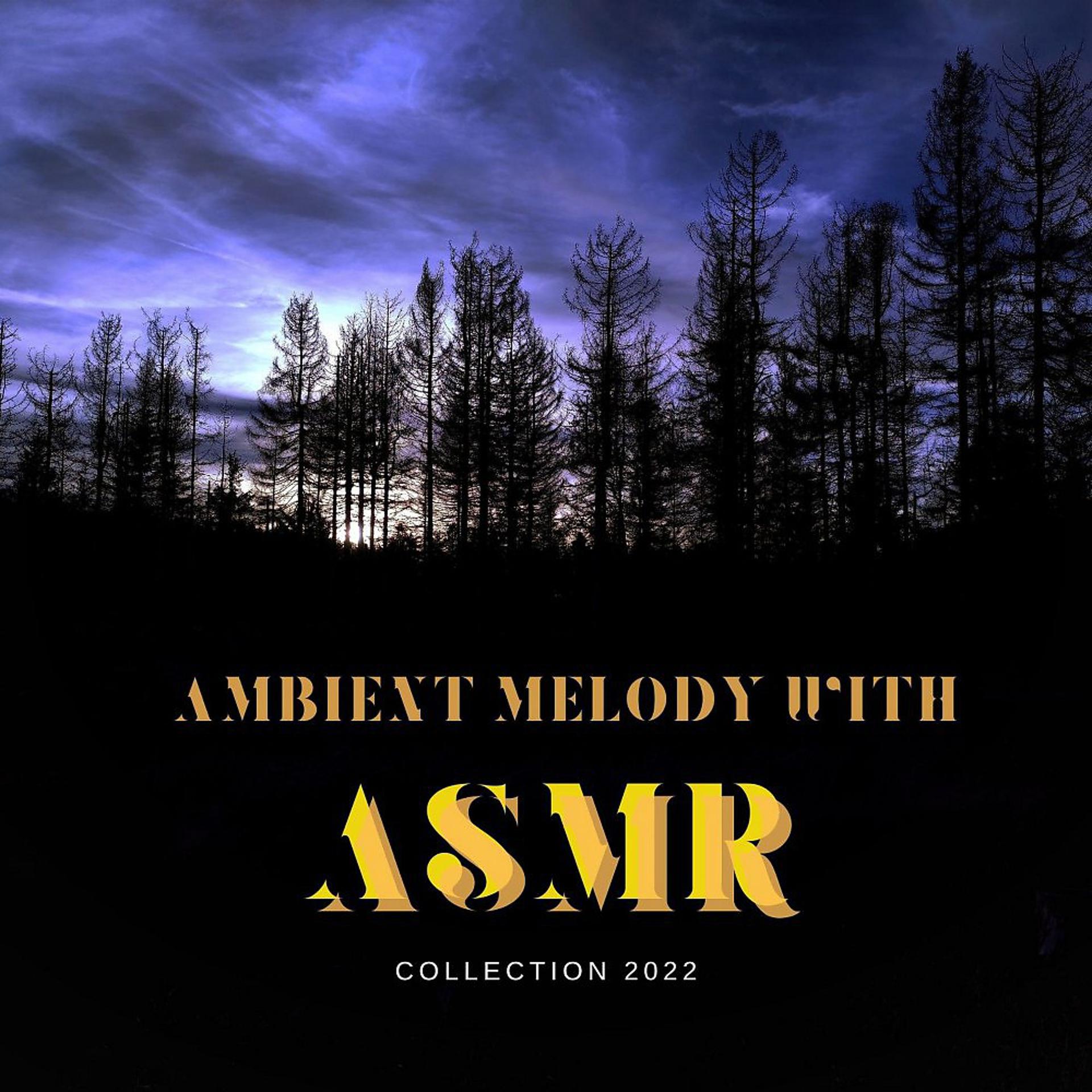 Постер альбома Asmr with Ambient Melody