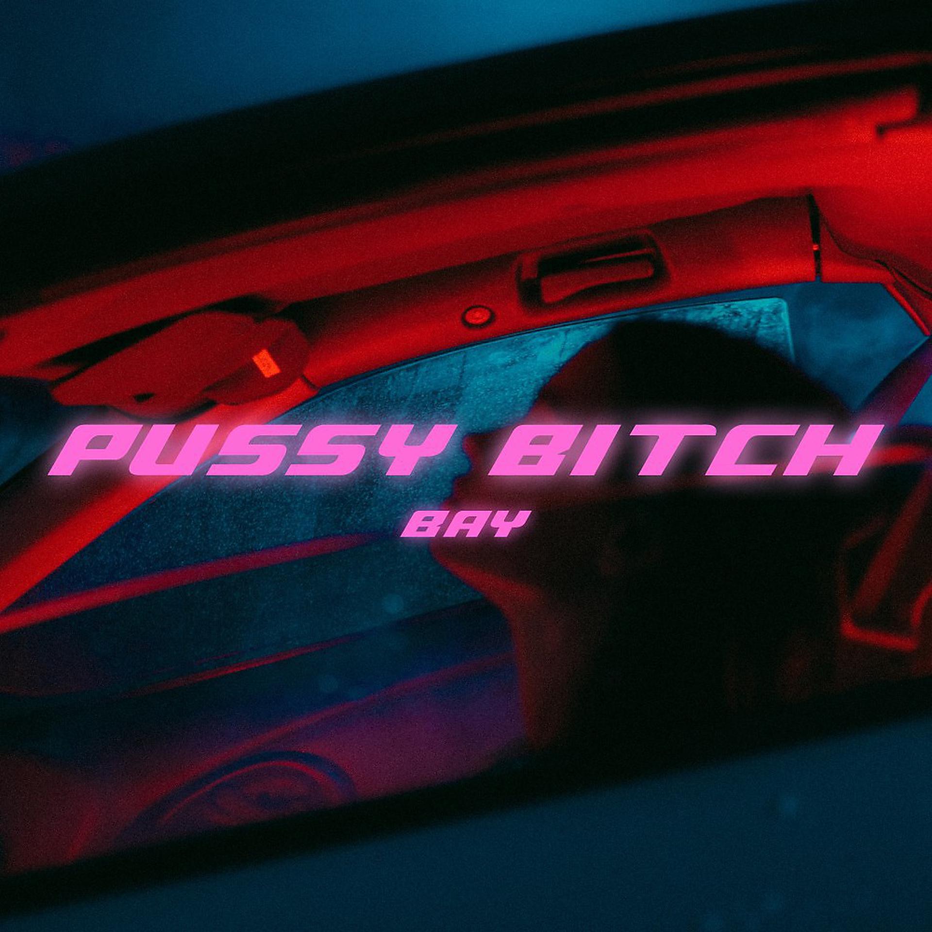 Постер альбома PUSSY BITCH