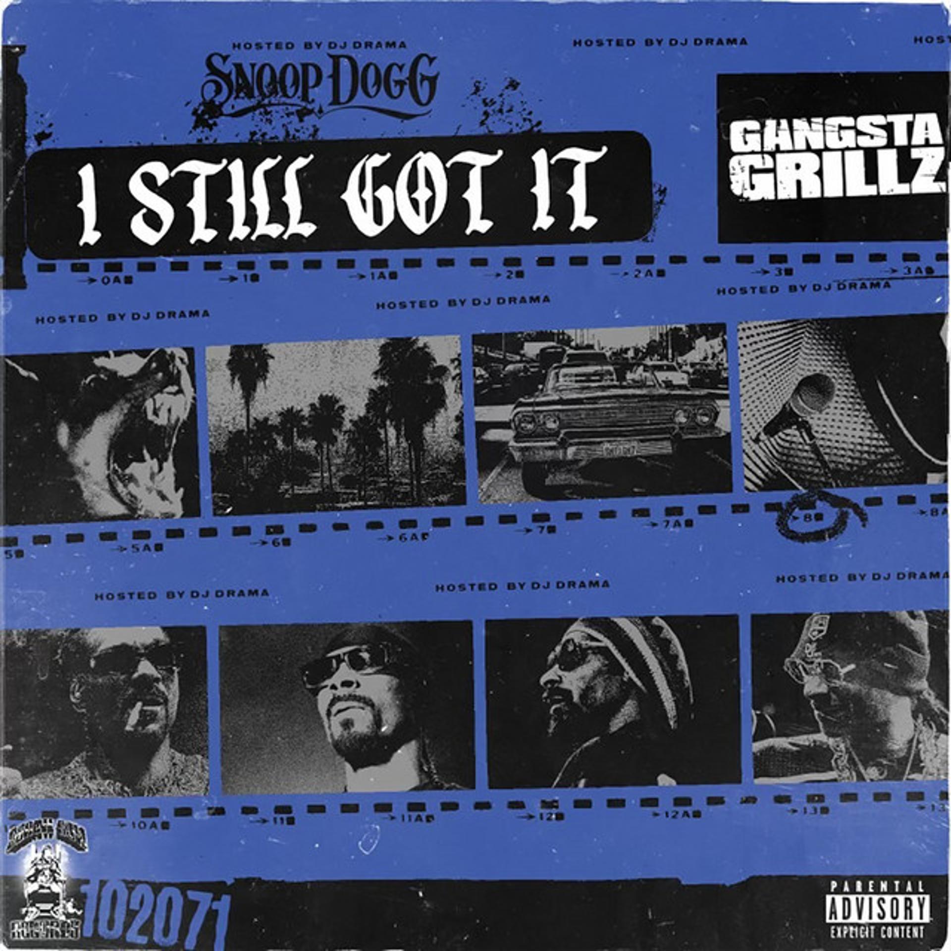 Постер альбома Gangsta Grillz: I Still Got It