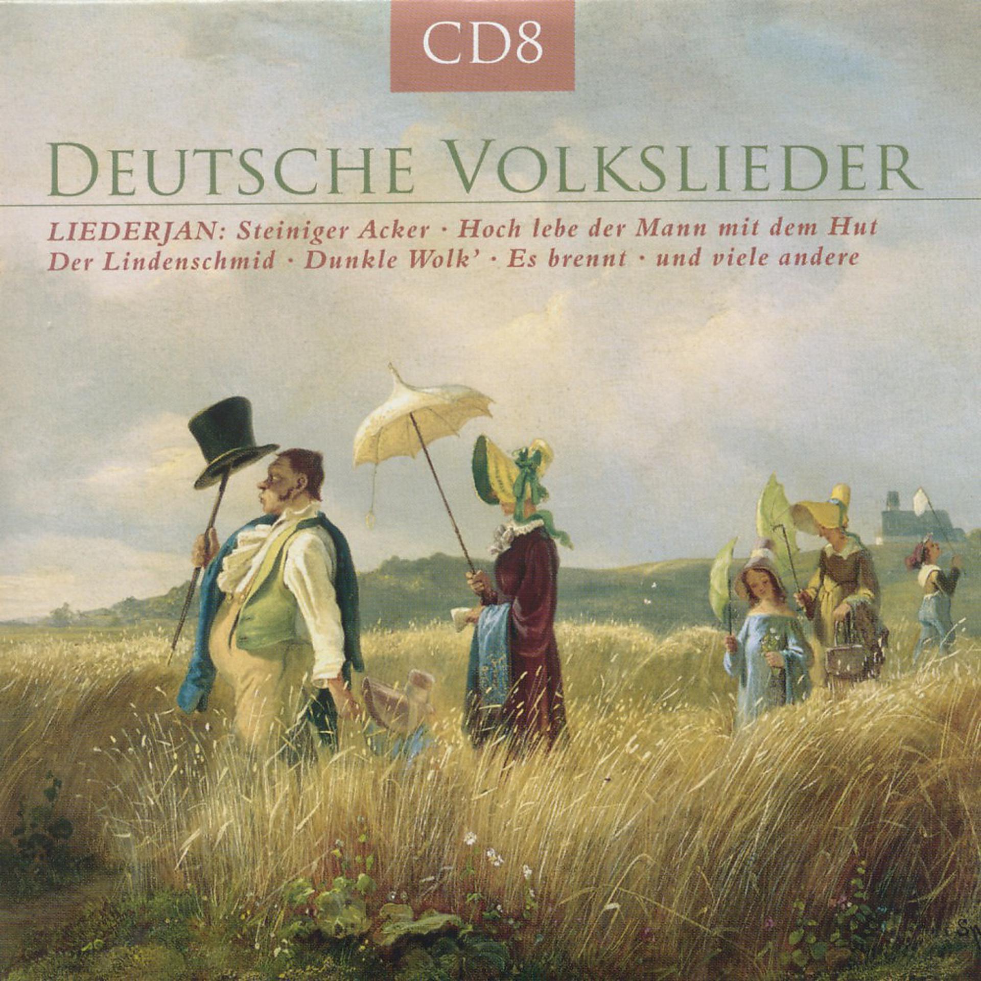 Постер альбома Deutsche Volkslieder Vol. 8