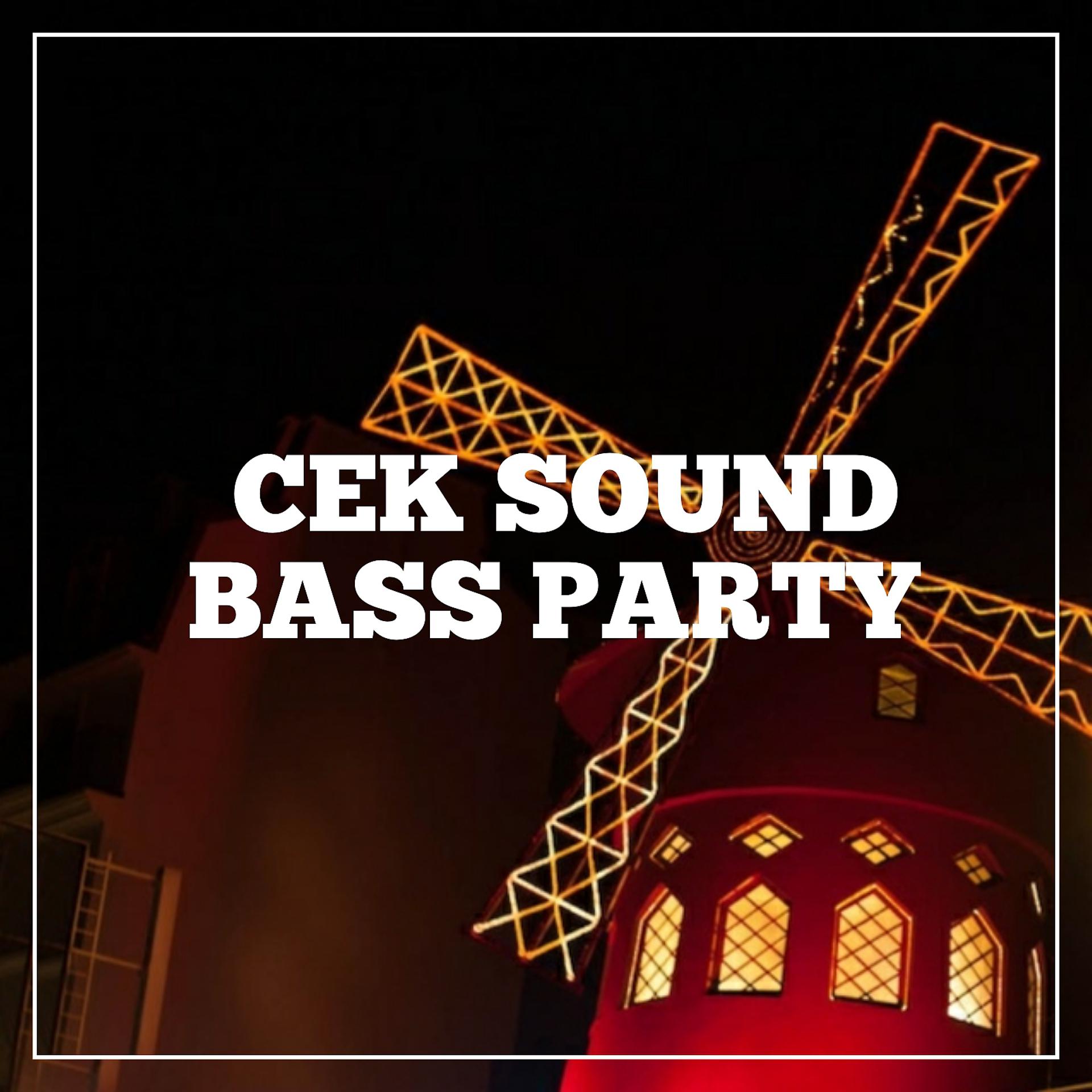 Постер альбома Cek Sound Bass Party