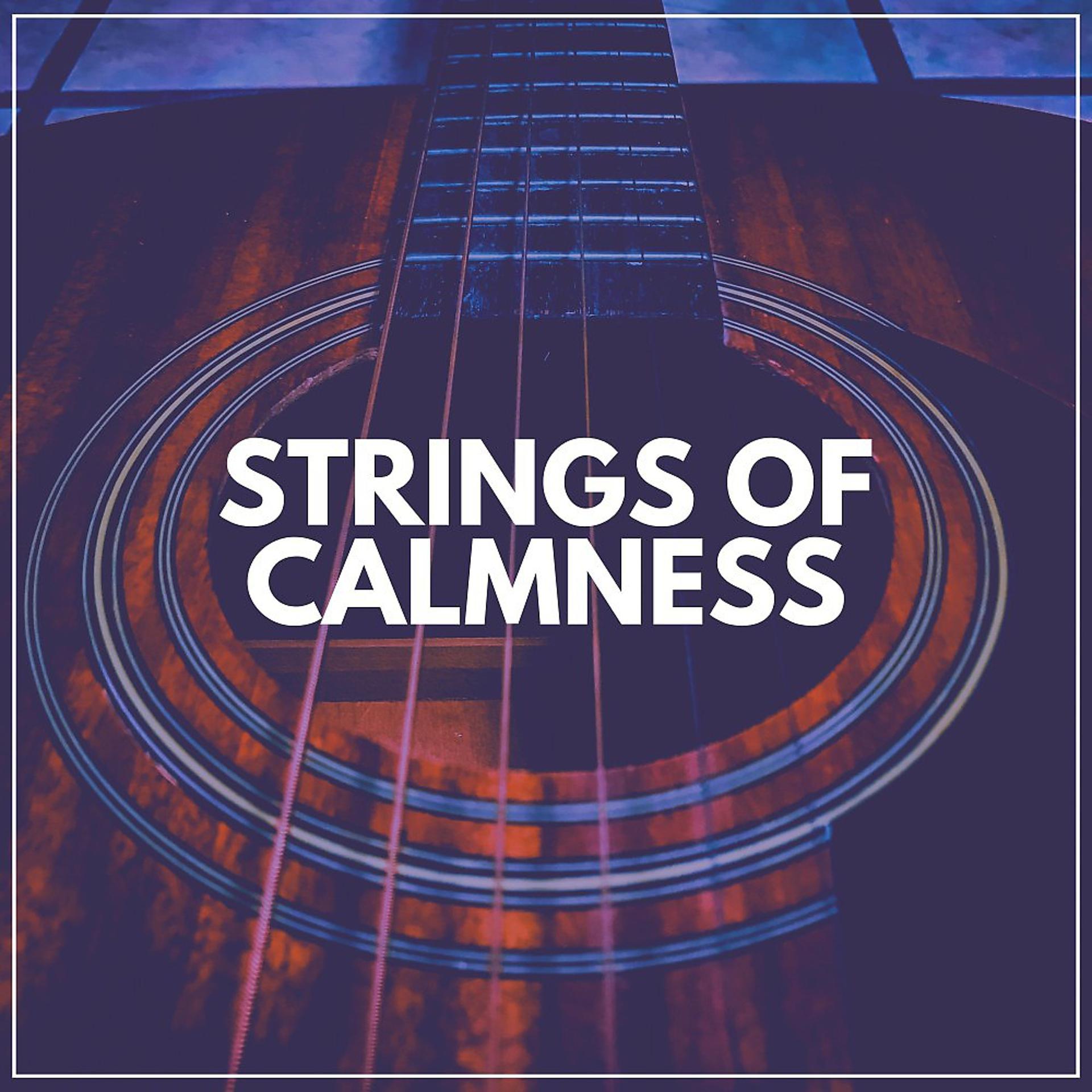 Постер альбома Strings of Calmness