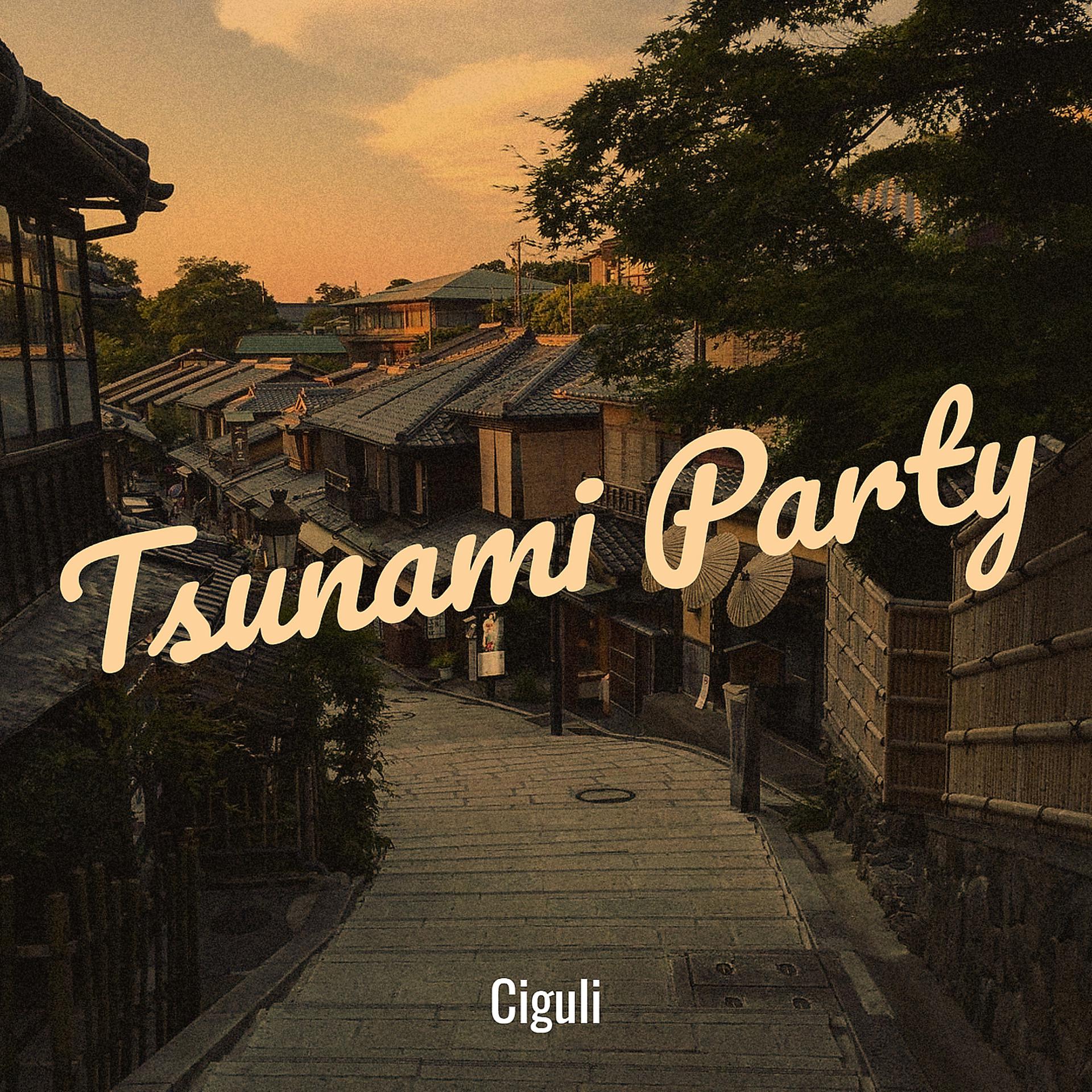 Постер альбома Tsunami Party