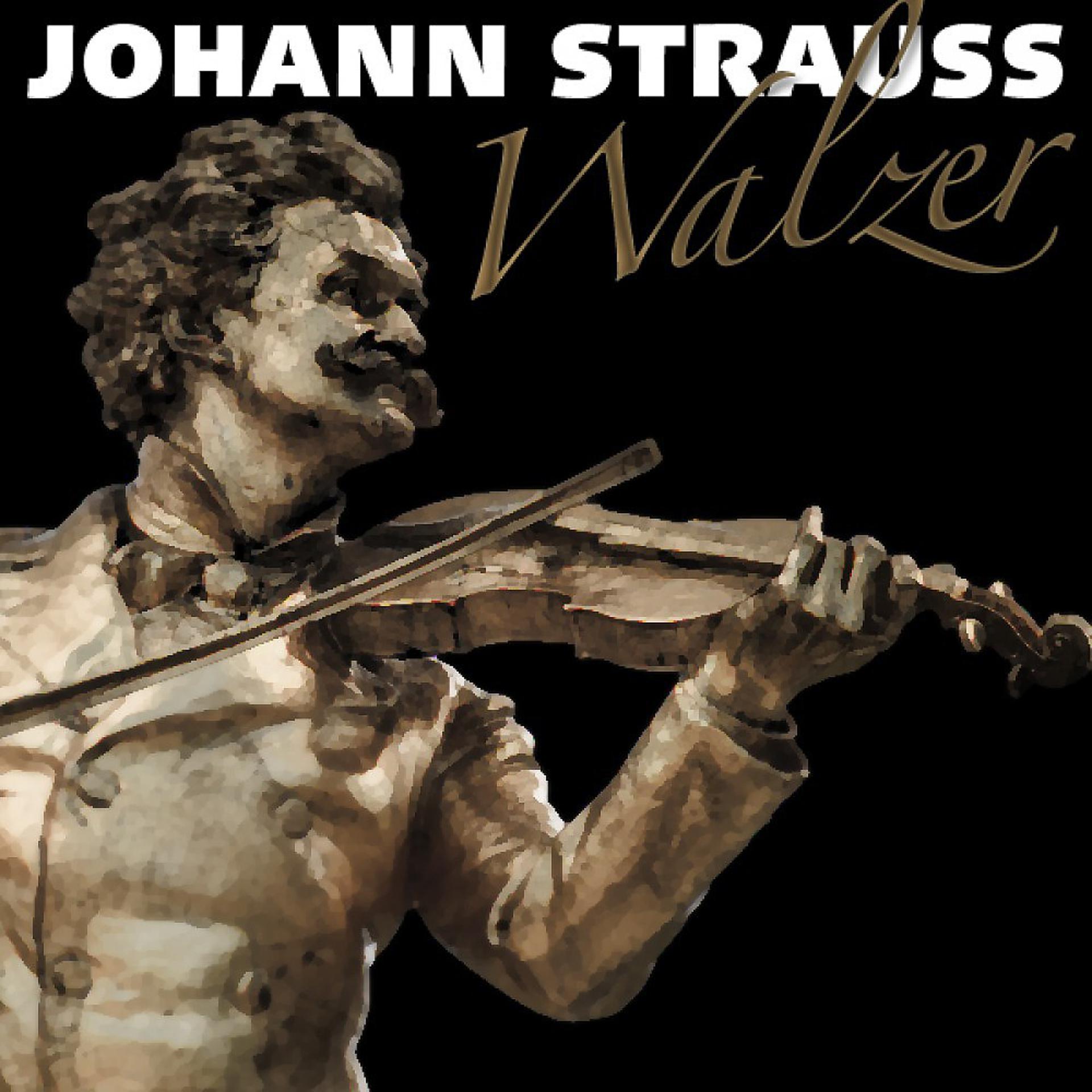 Постер альбома Johann Strauss - Walzer
