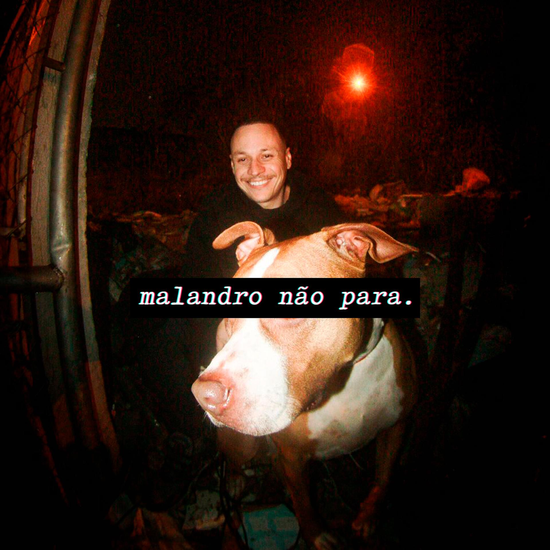 Постер альбома Malandro Não Para