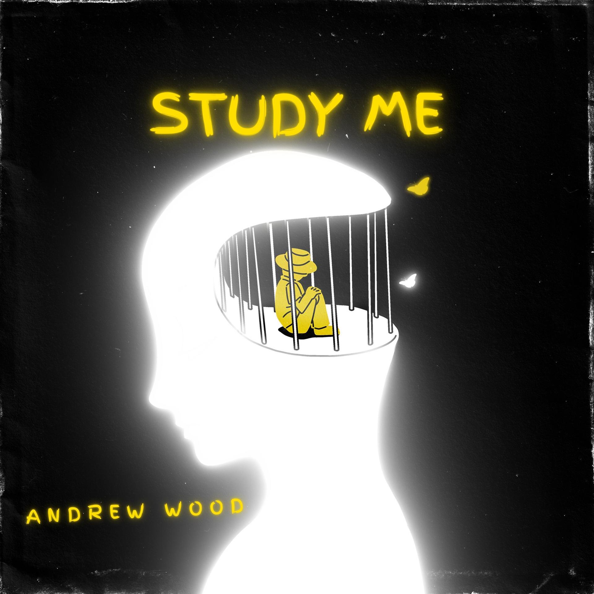 Постер альбома Study Me