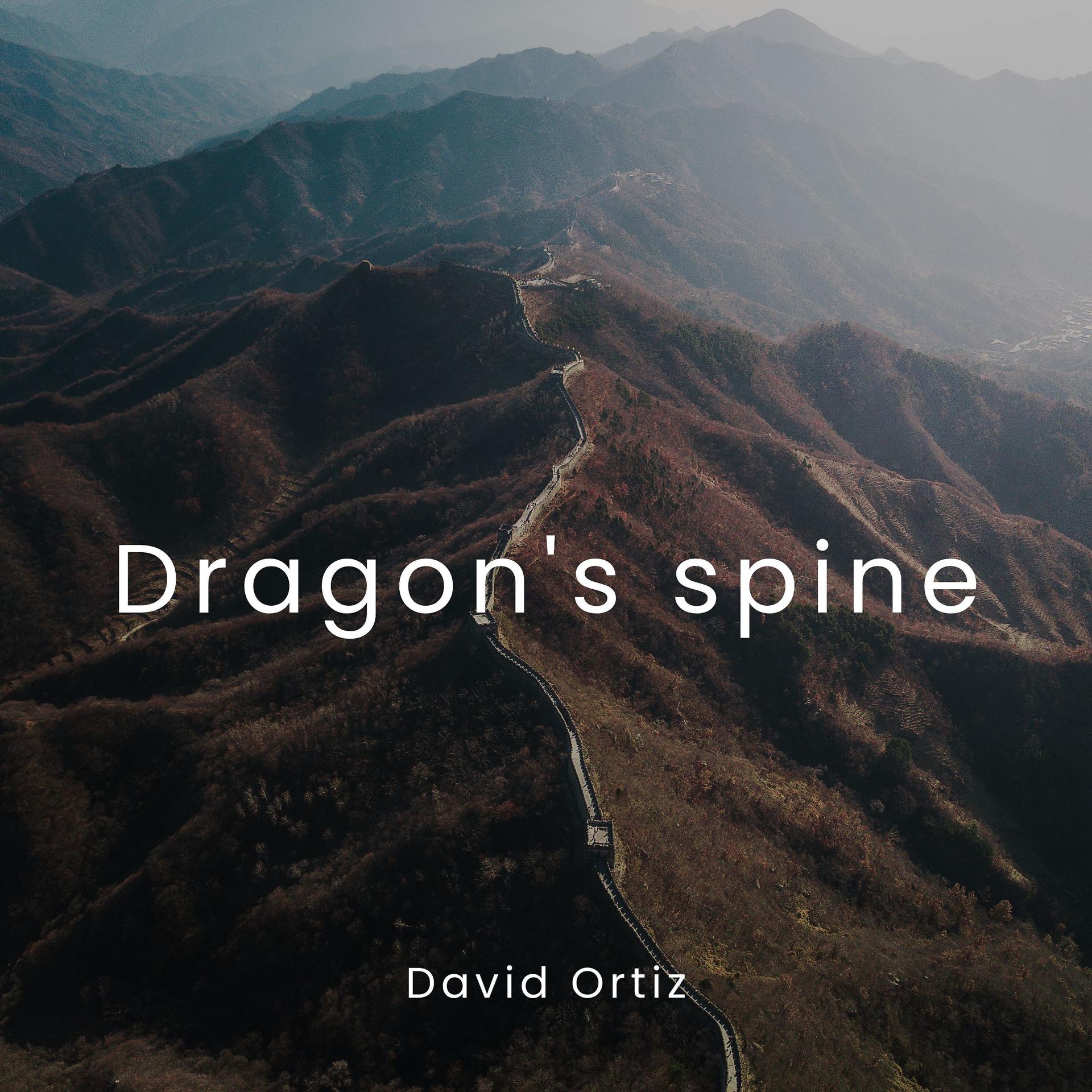 Постер альбома Dragon's Spine
