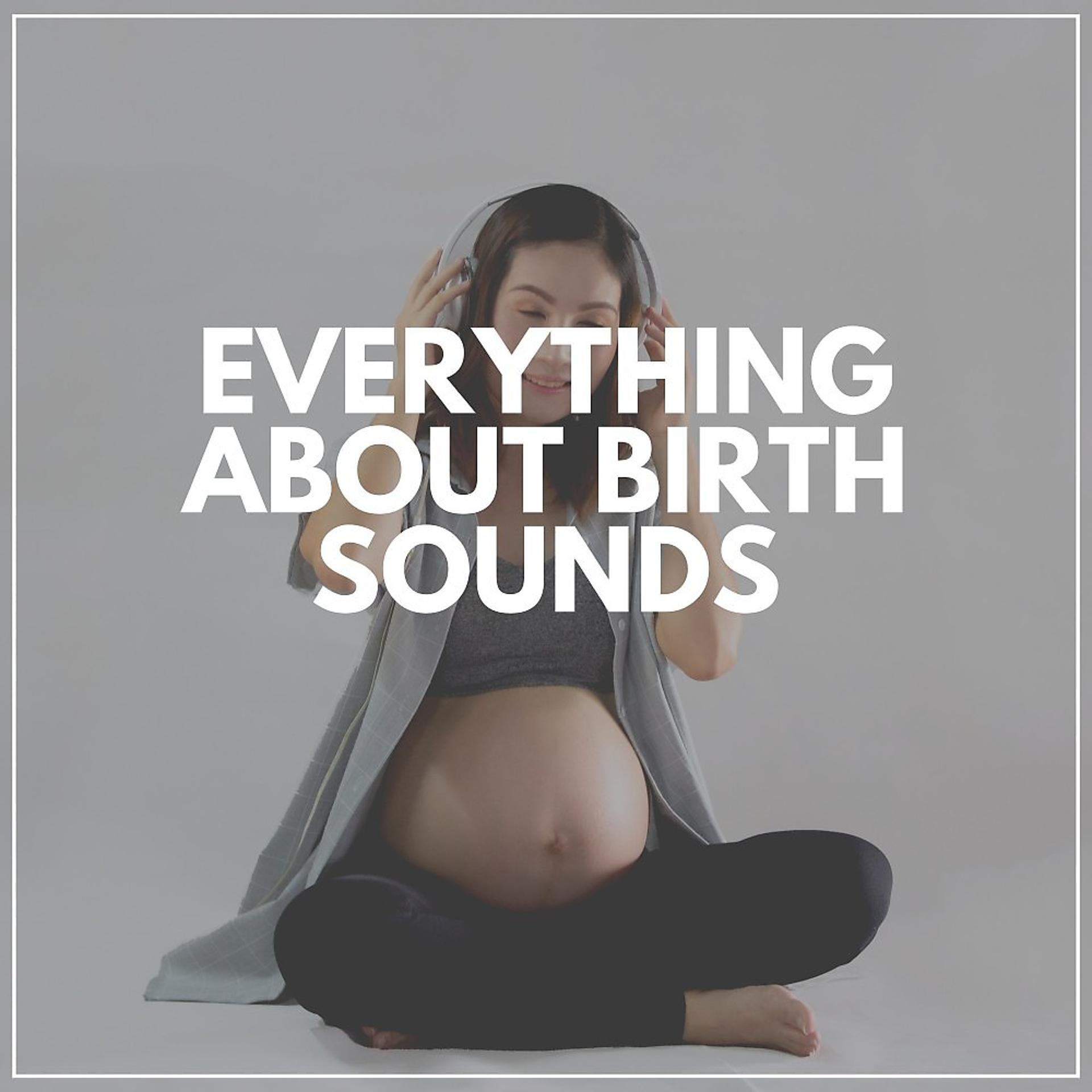 Постер альбома Everything About Birth Sounds