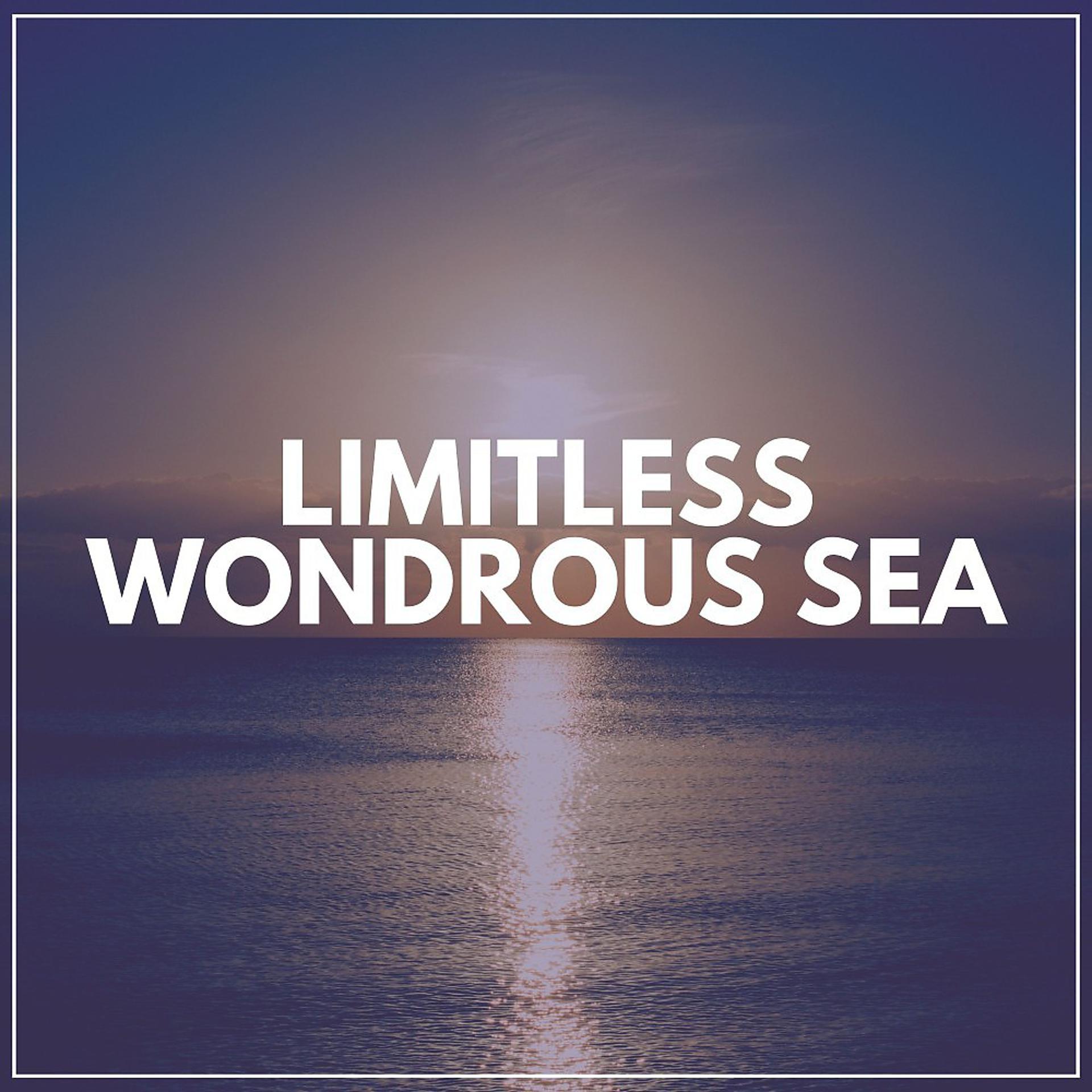 Постер альбома Limitless Wondrous Sea
