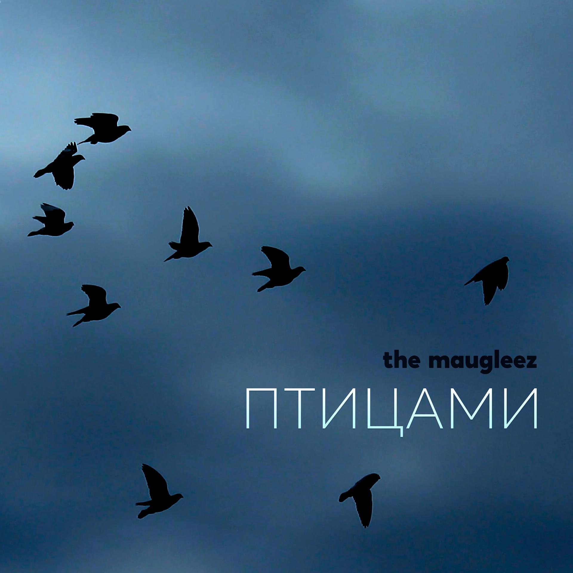 Постер альбома Птицами