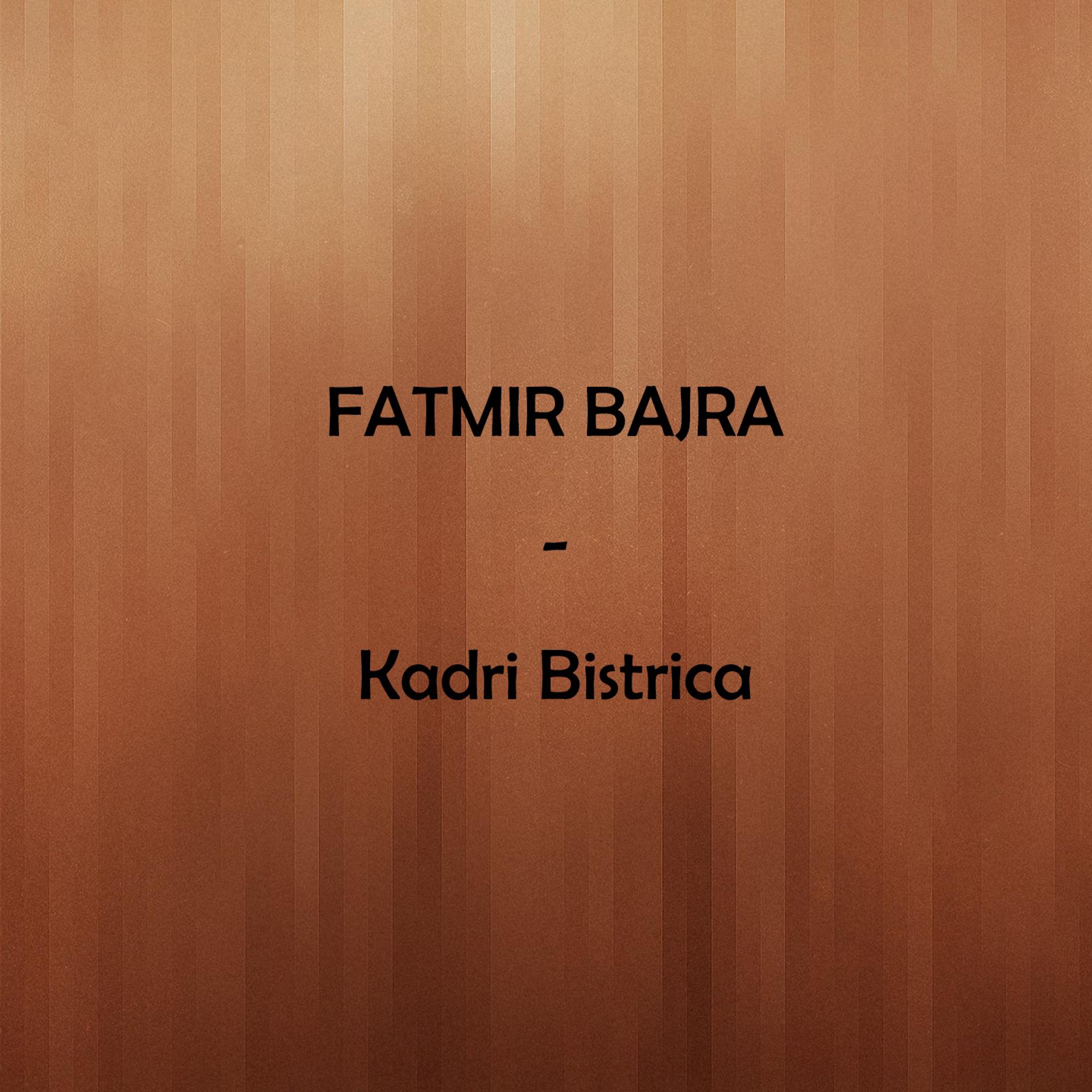 Постер альбома Kadri Bistrica