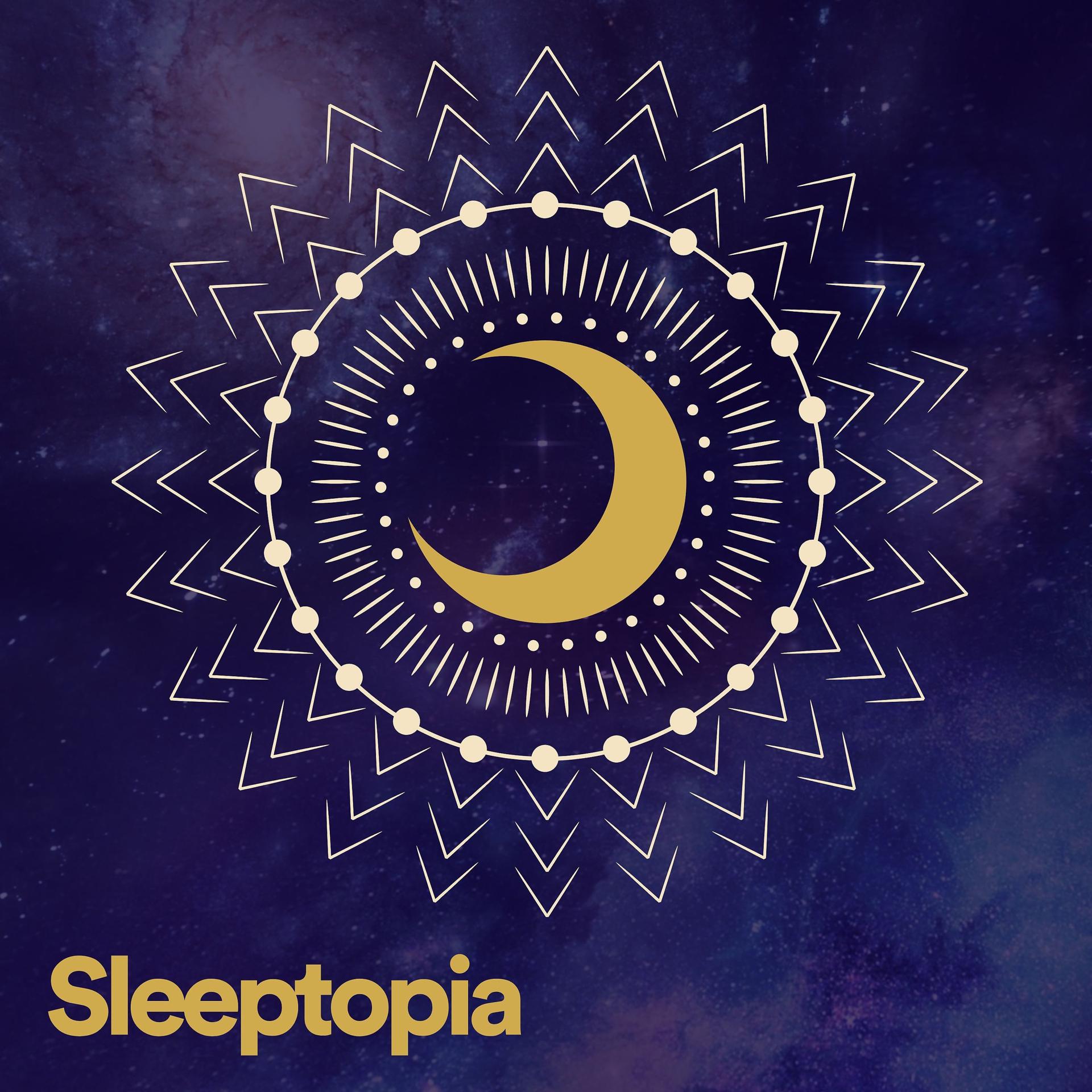 Постер альбома Sleeptopia