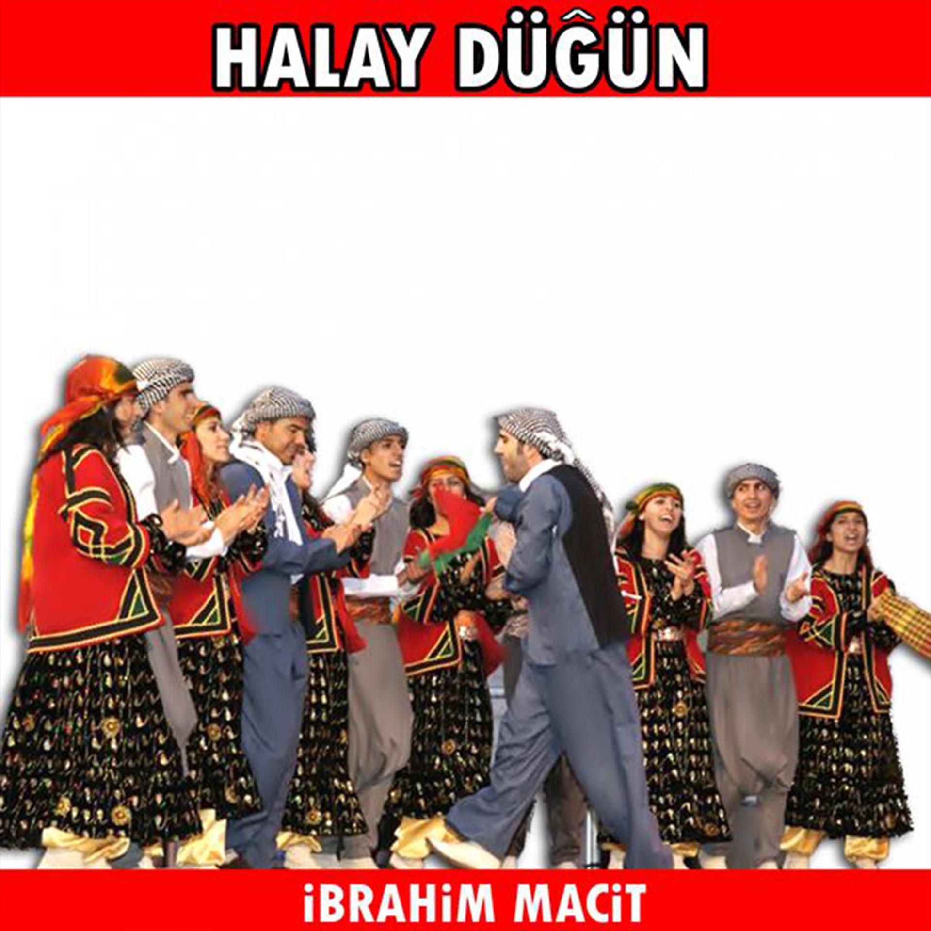 Постер альбома Halay Düğün