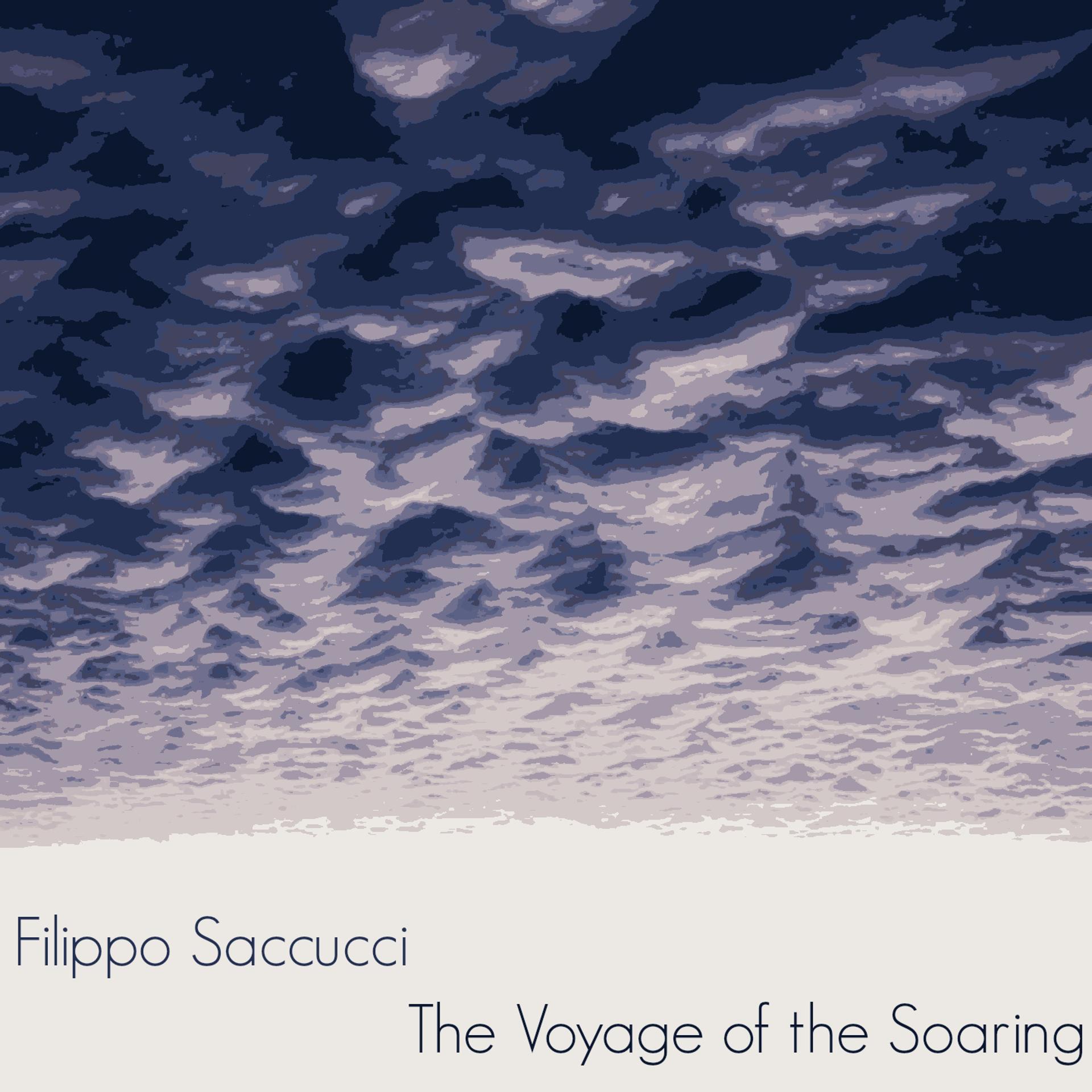 Постер альбома Ambient Music: The Voyage of the Soaring