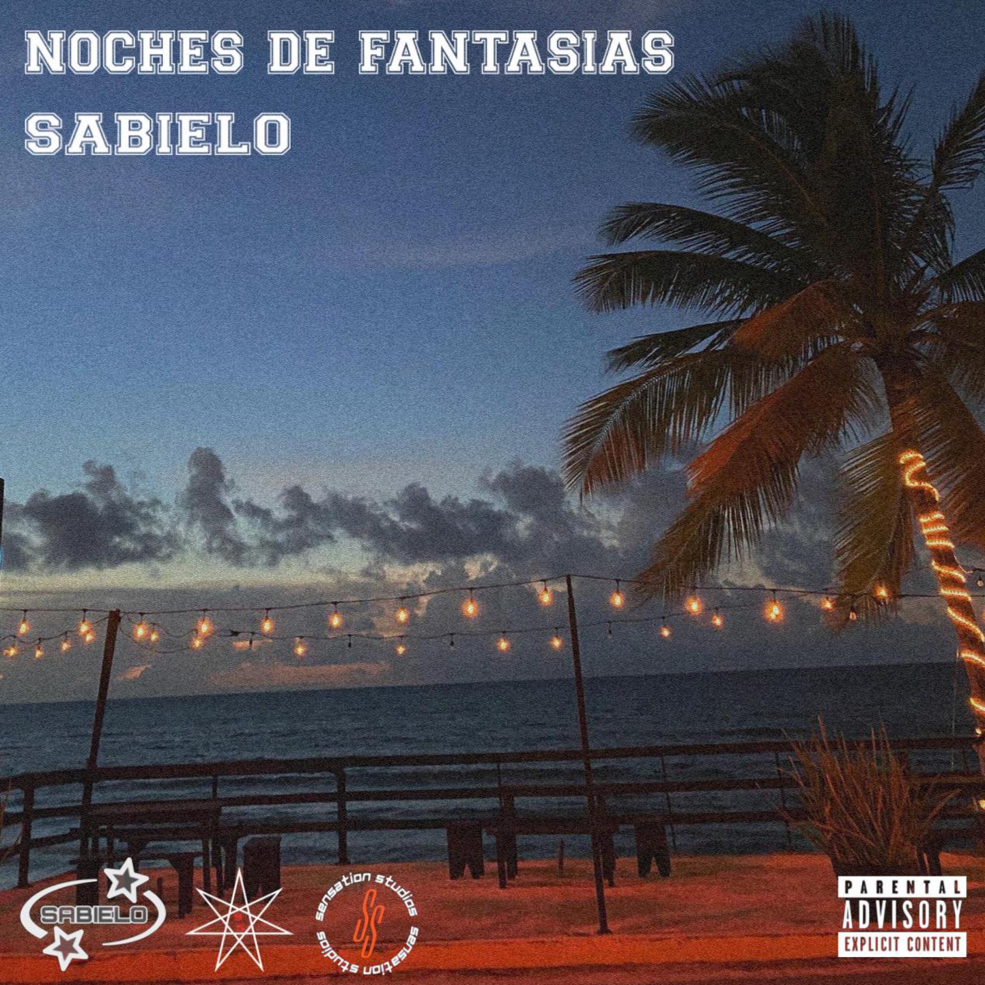 Постер альбома Noches de Fantasias