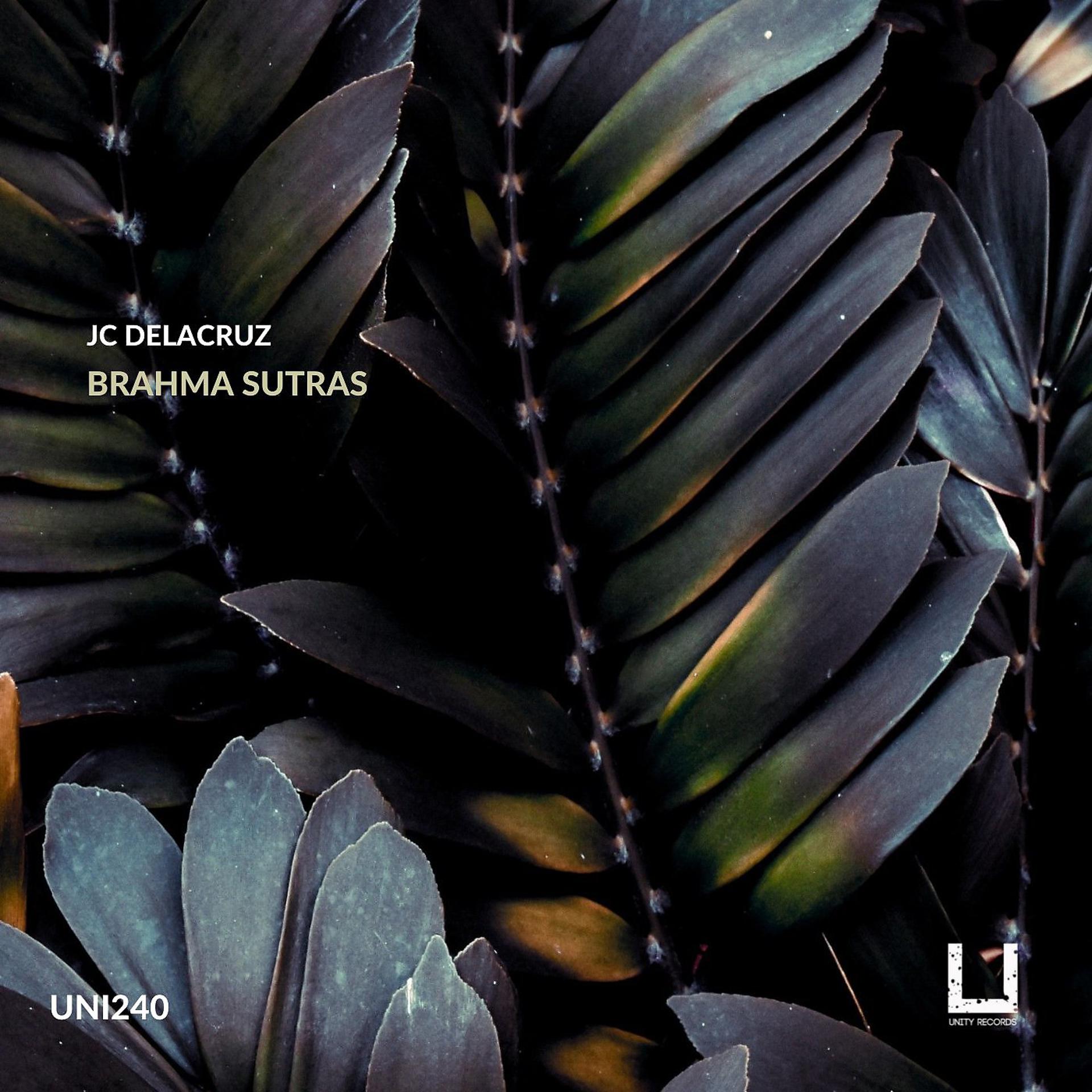 Постер альбома Brahma Sutras