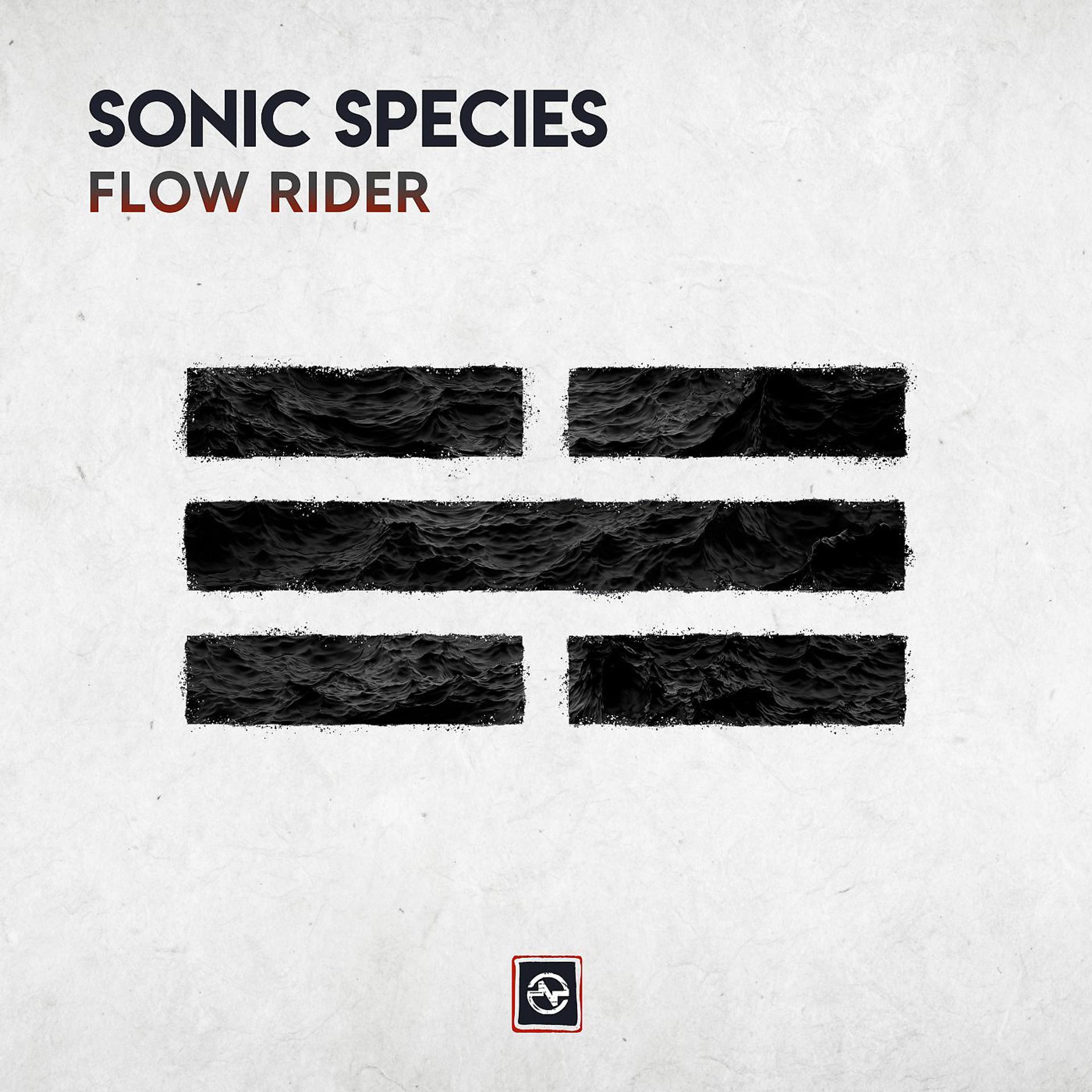 Постер альбома Flow Rider