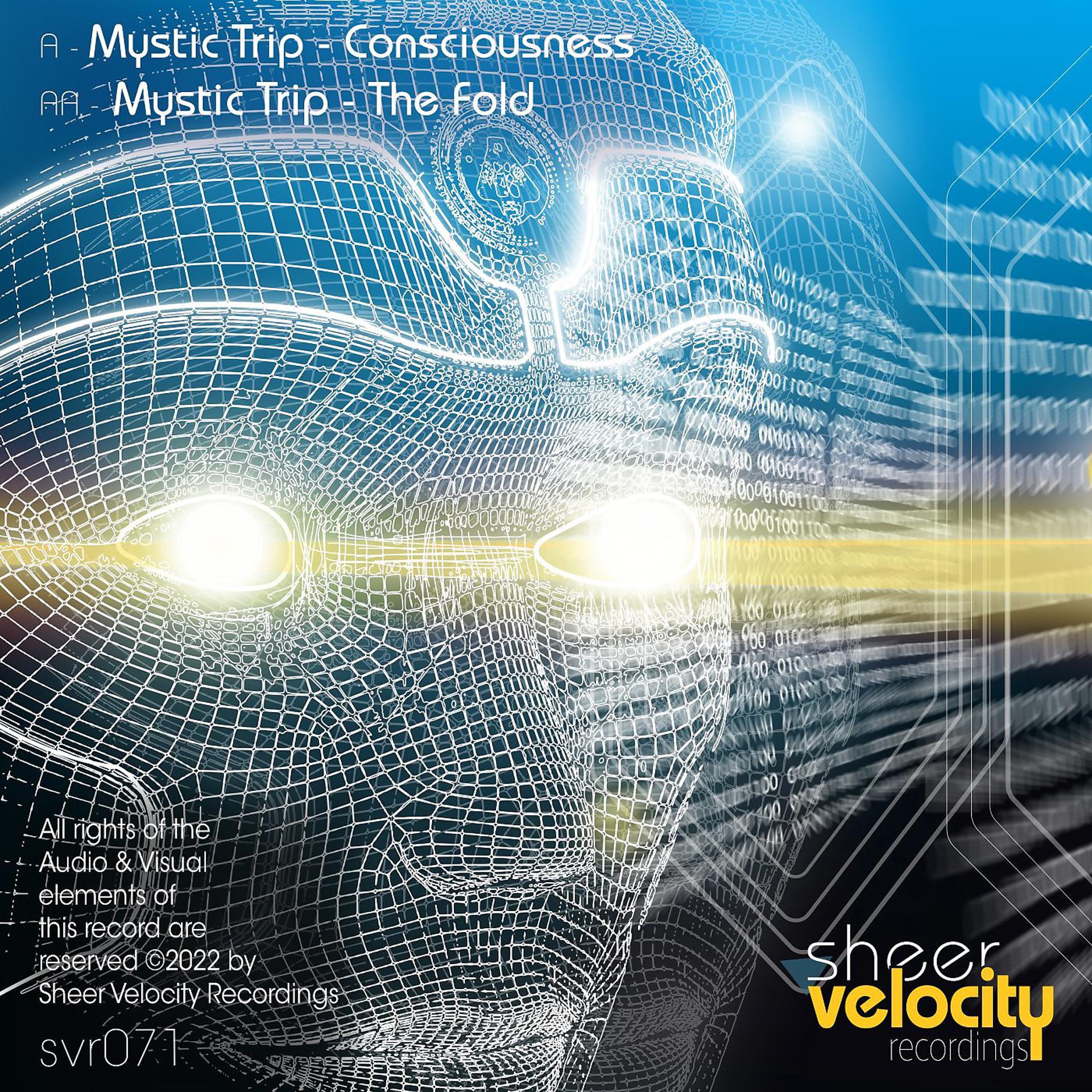 Постер альбома Consciousness / The Fold