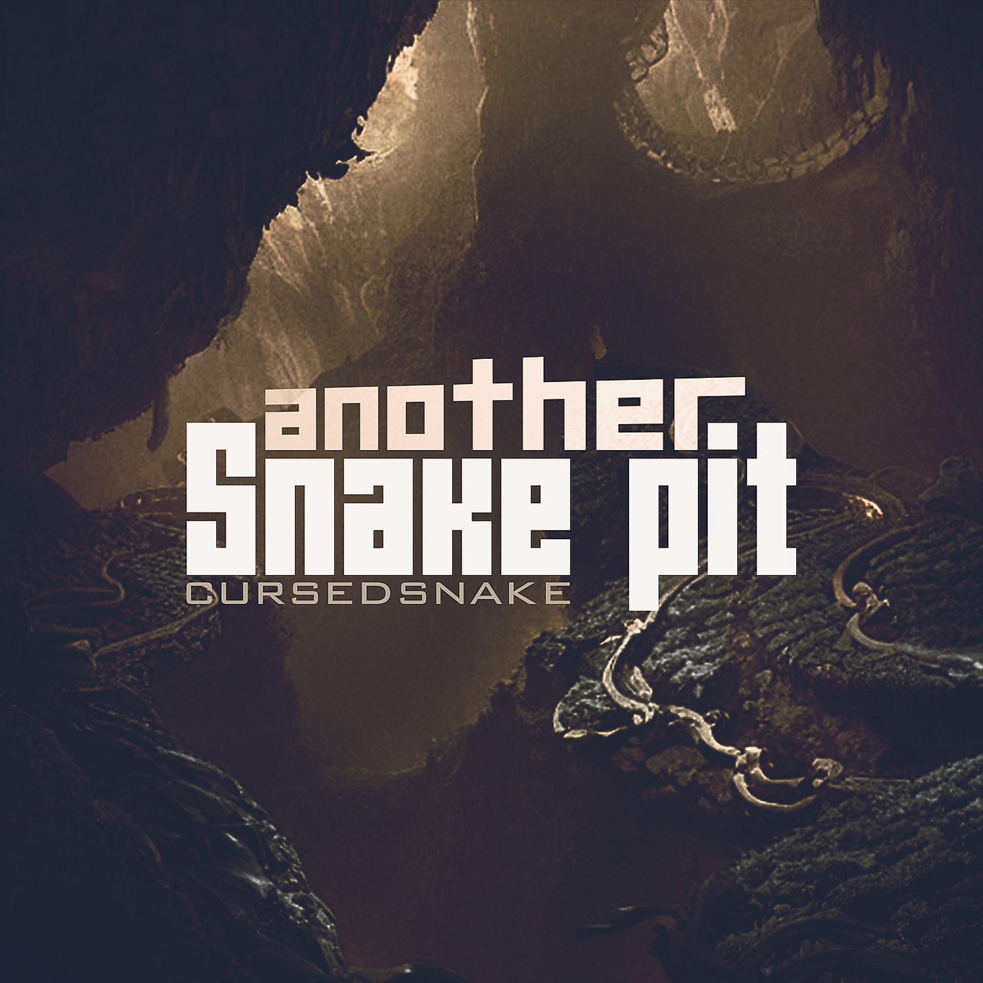 Постер альбома Another Snake Pit