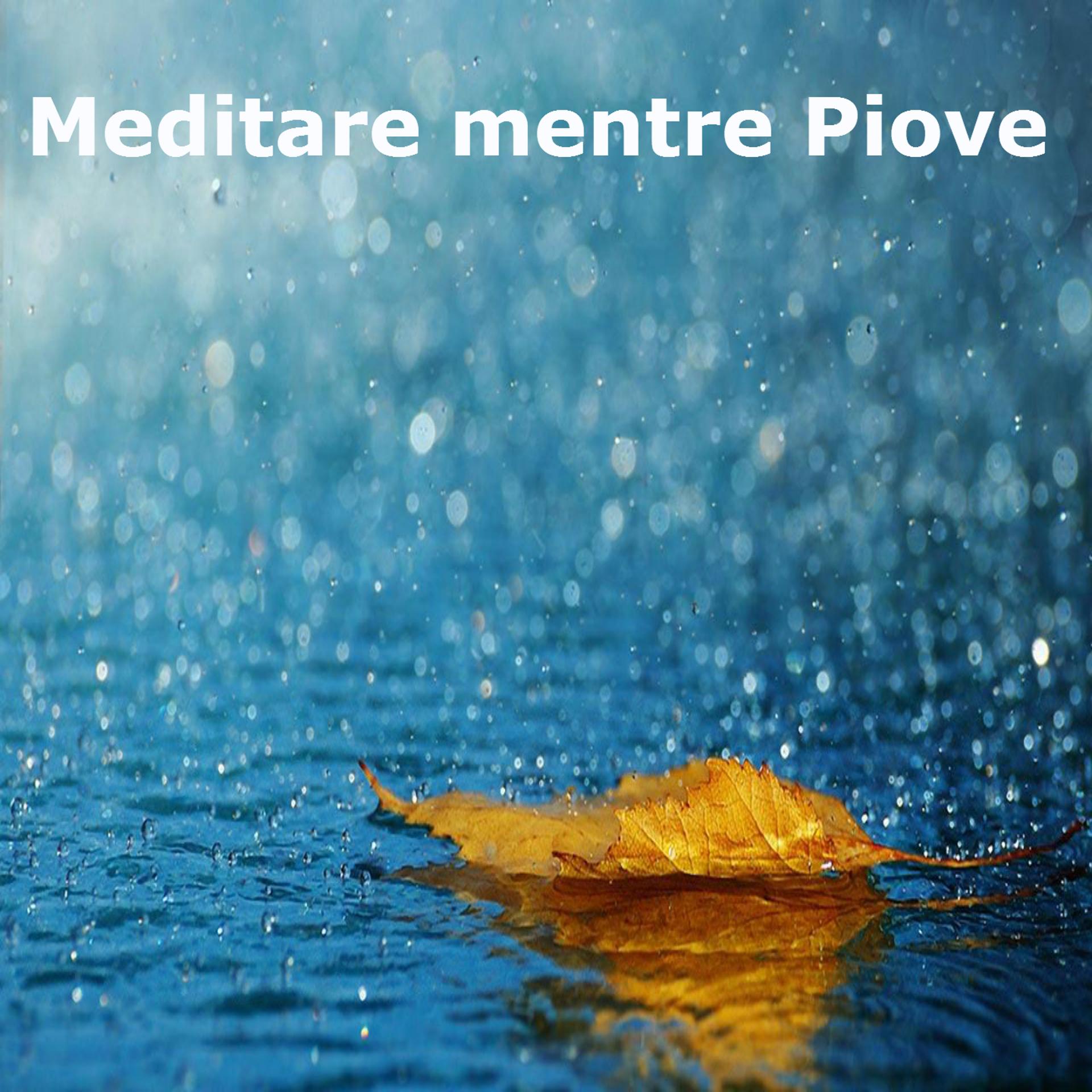 Постер альбома Meditare mentre piove