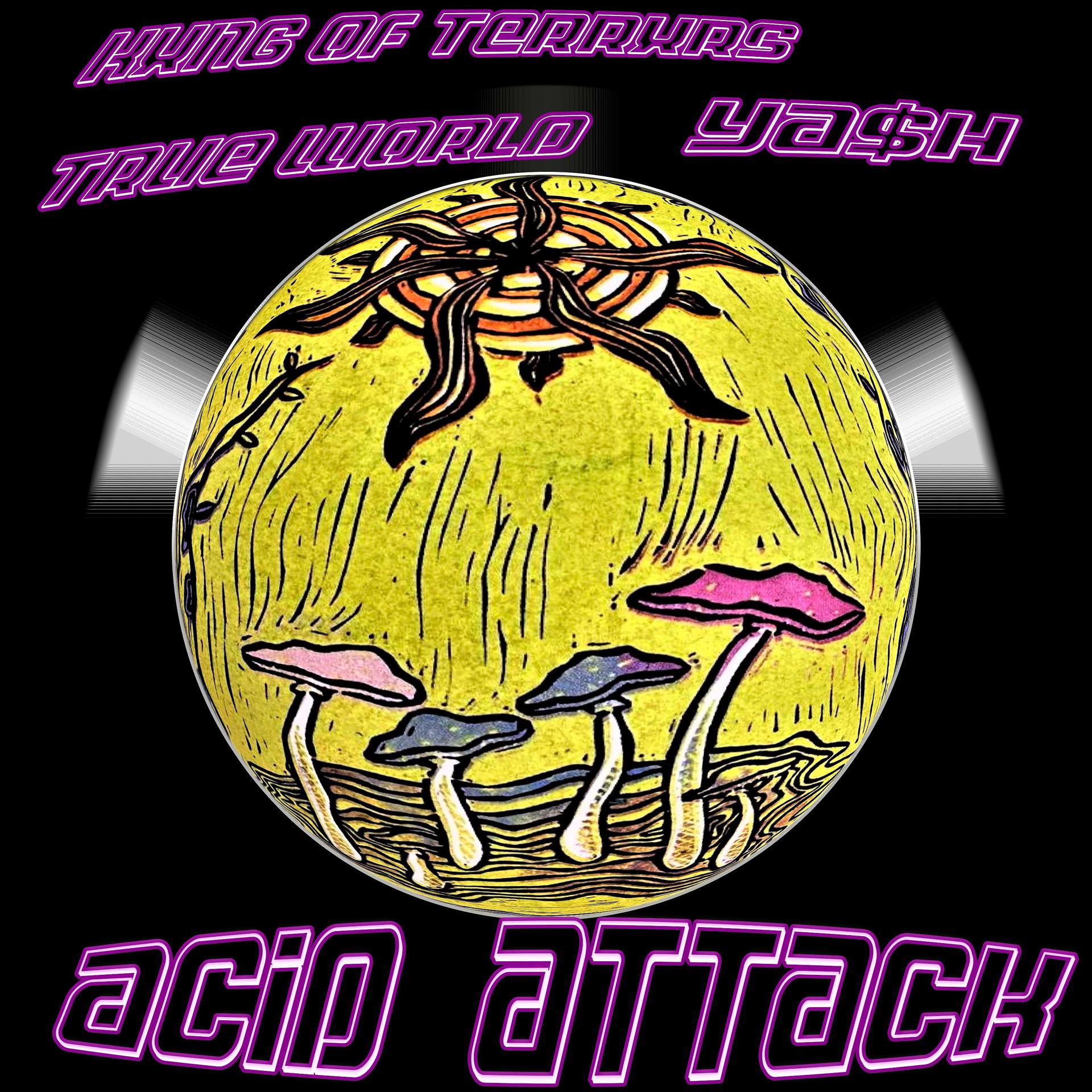 Постер альбома ACID ATTACK