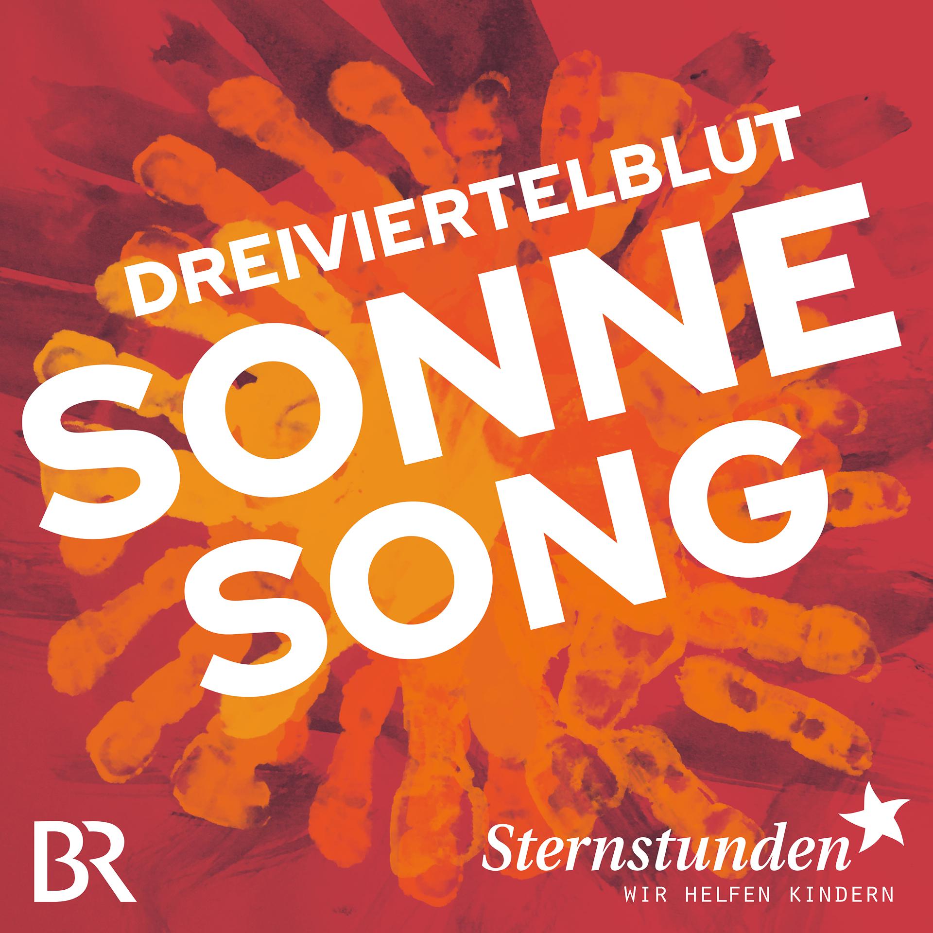 Постер альбома Sonne song