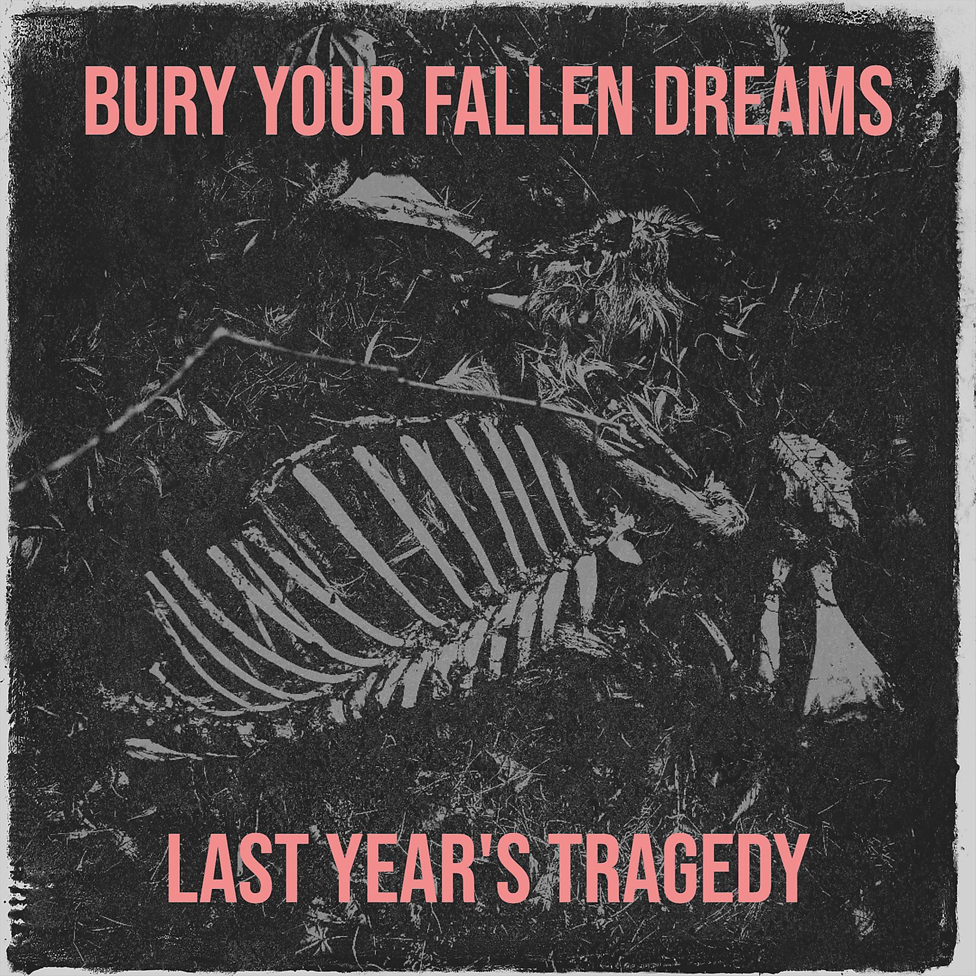 Постер альбома Bury Your Fallen Dreams