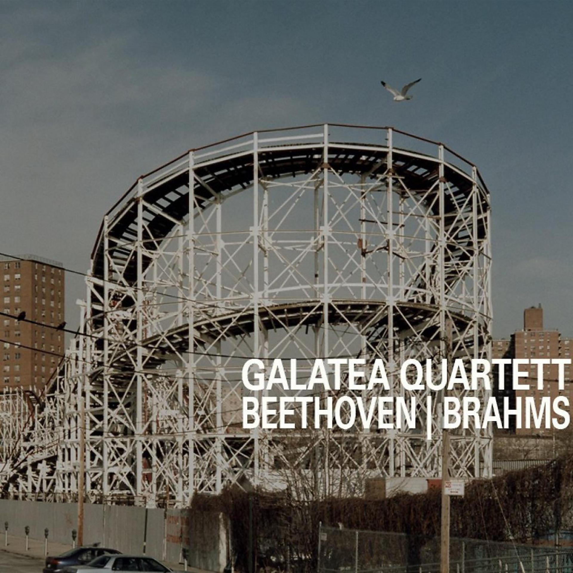 Постер альбома Beethoven opus 18/6 in B / Brahms opus 51/2 in A