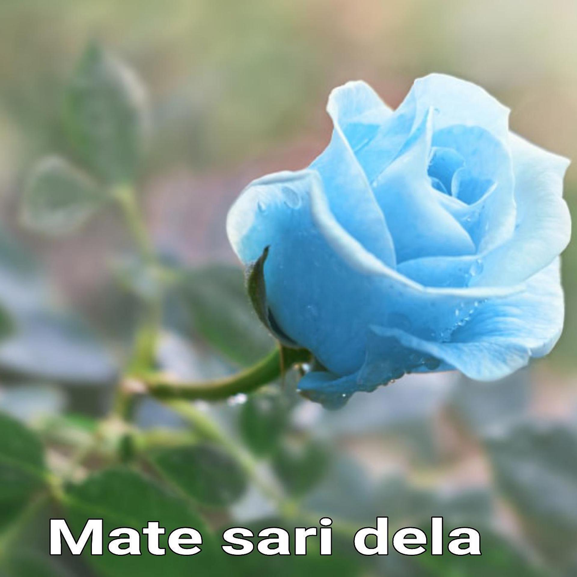 Постер альбома Mate sari dela