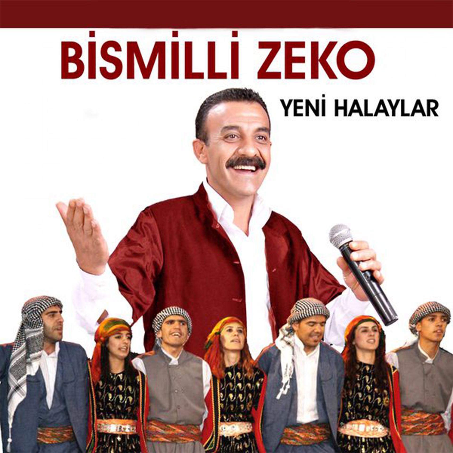 Постер альбома Yeni Halaylar