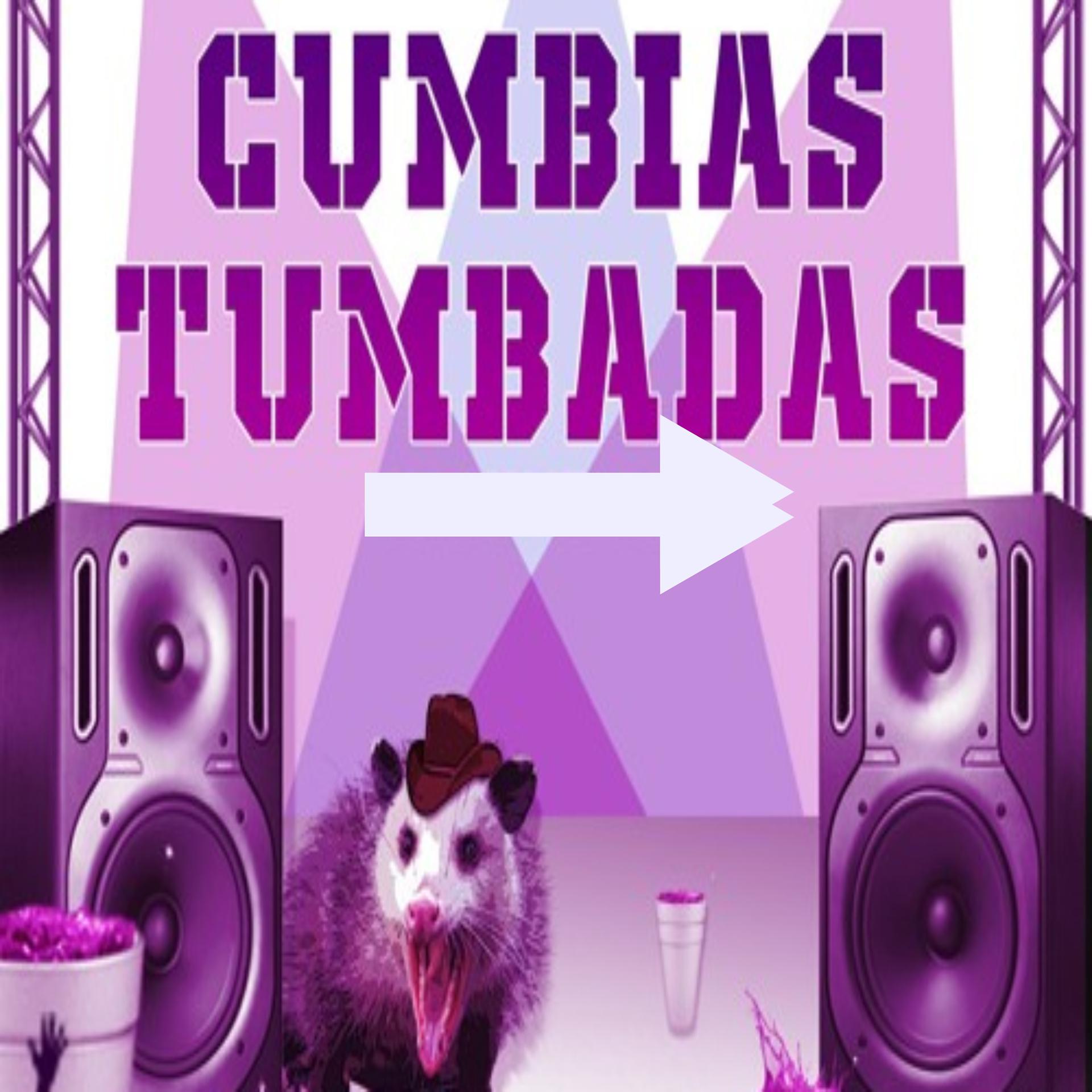 Постер альбома Cumbias Tumbadas