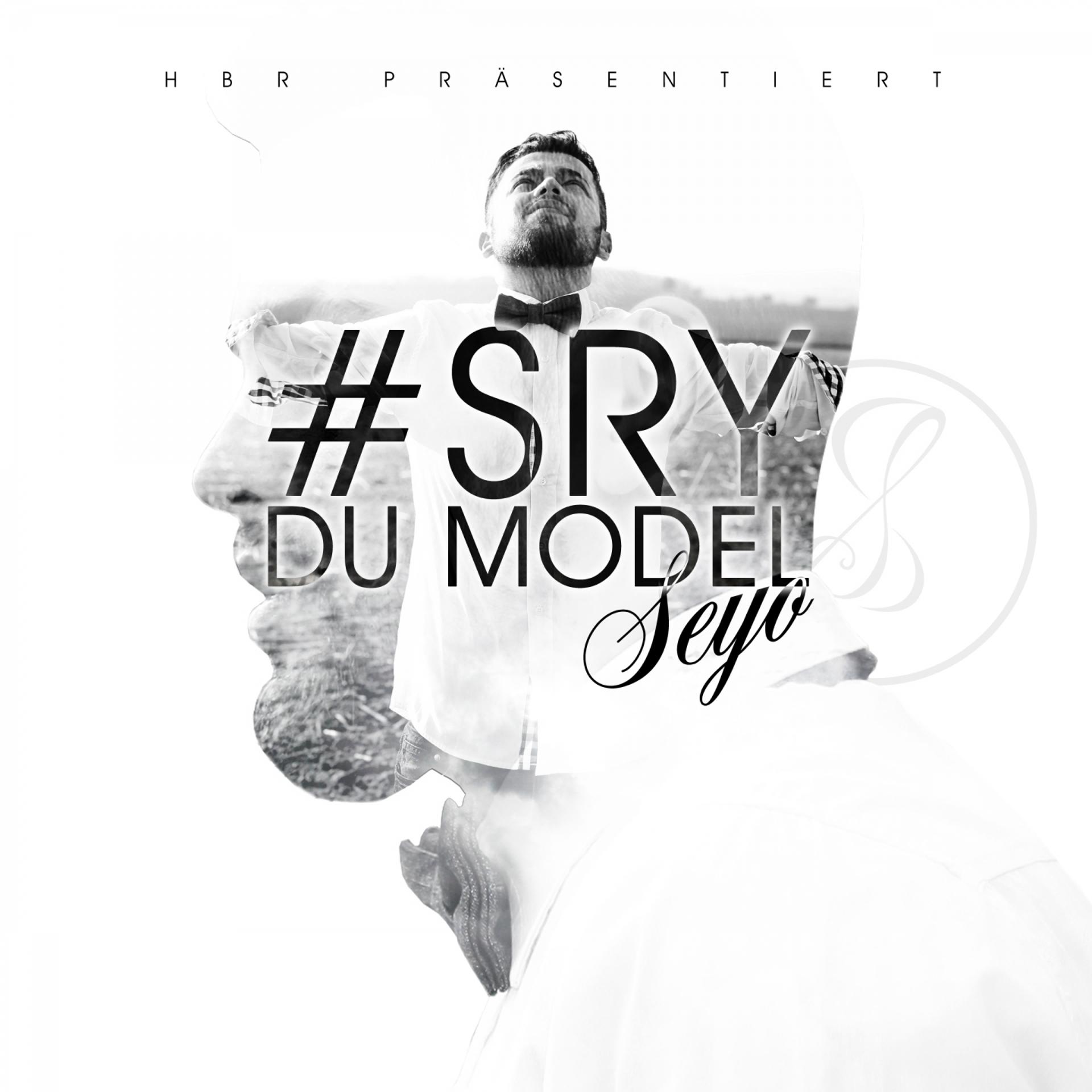 Постер альбома Sry du Model