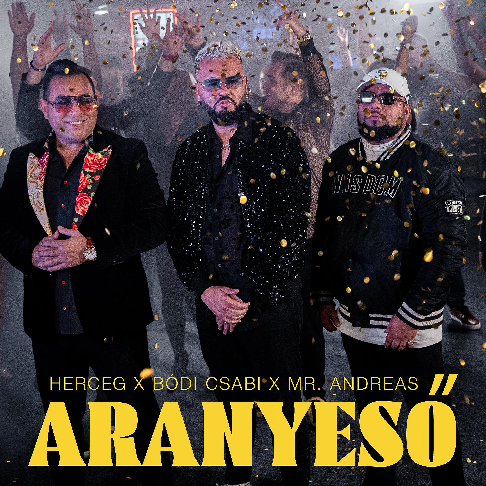 Постер альбома Aranyeső