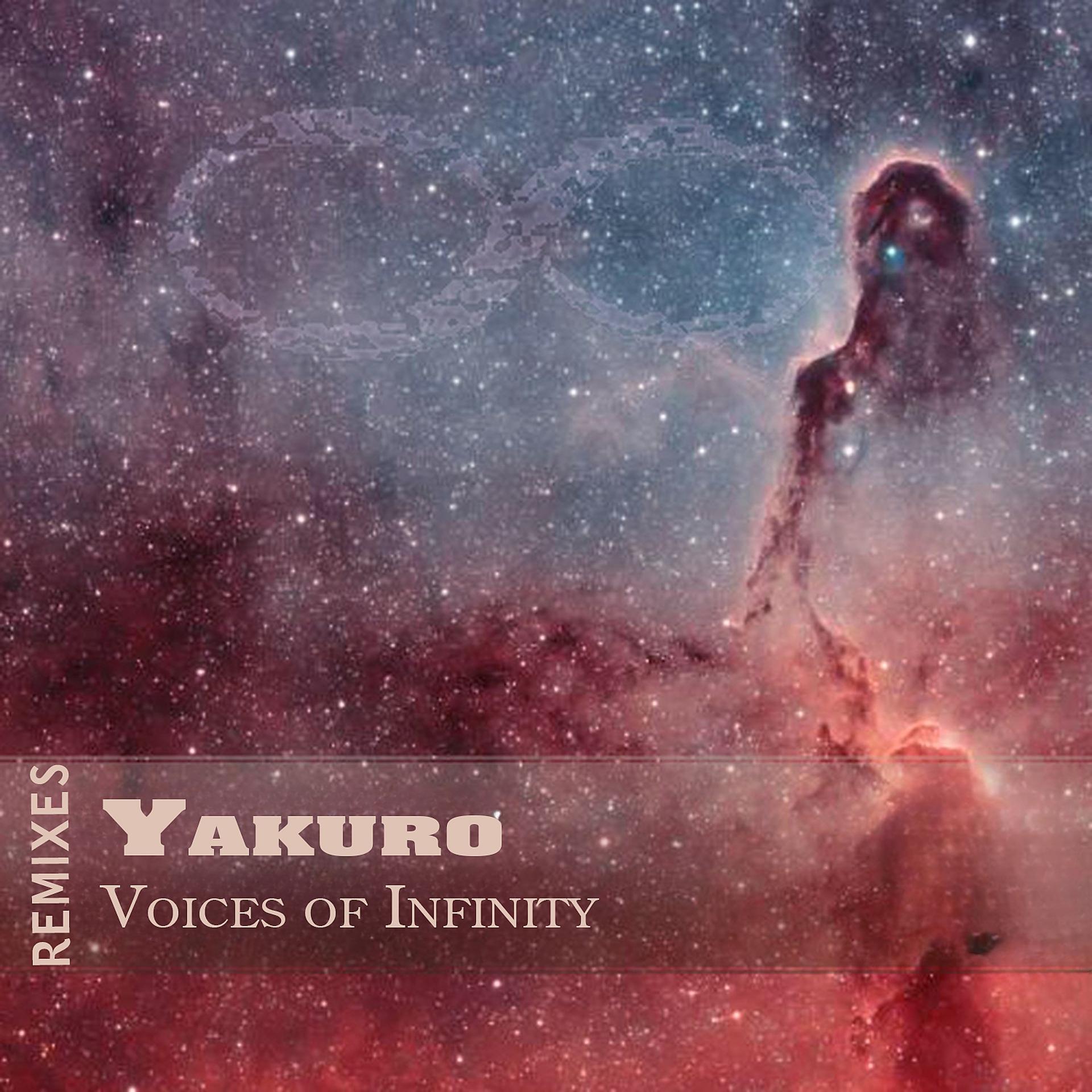 Постер альбома Voices of Infinity (Remixes)