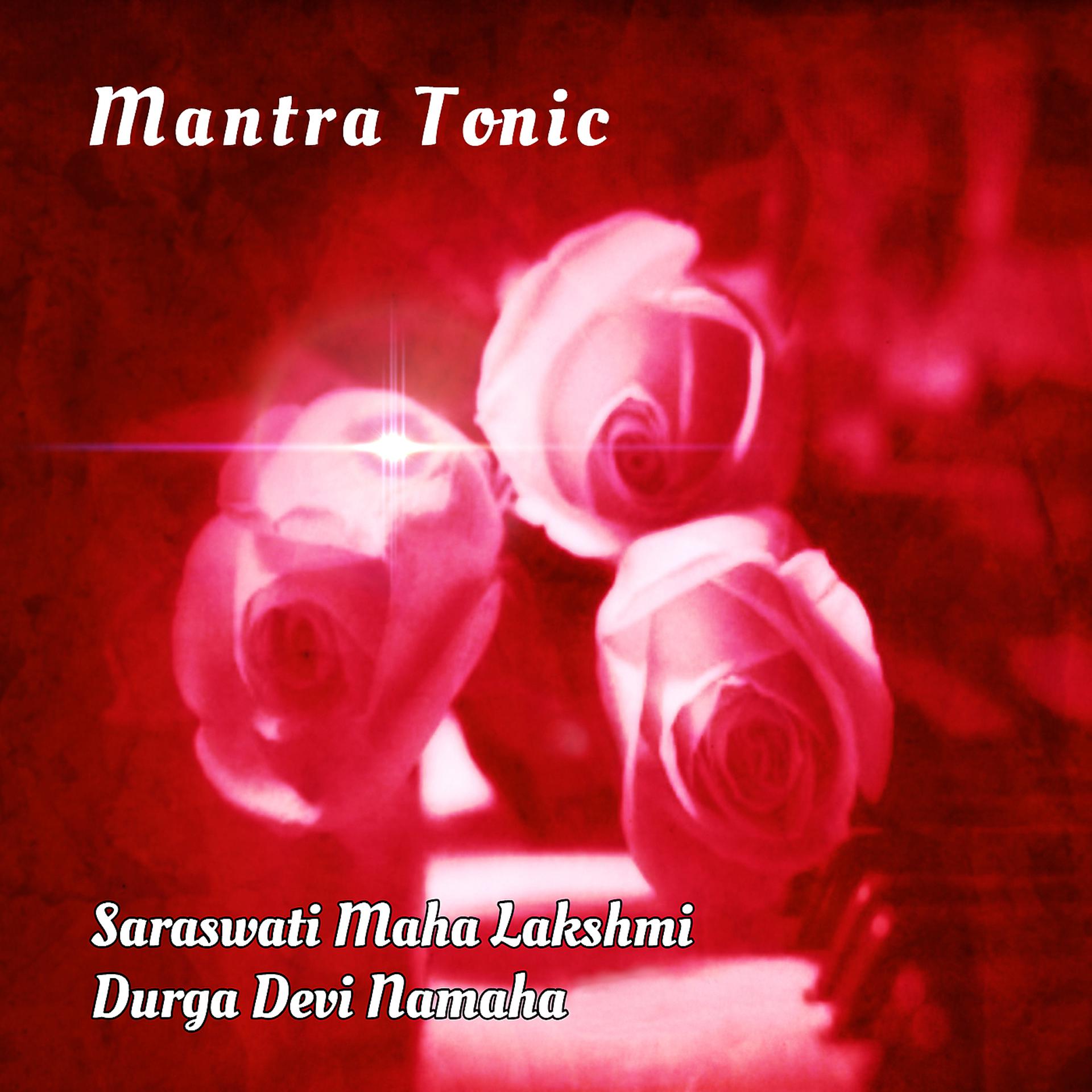 Постер альбома Saraswati Maha Lakshmi Durga Devi Namaha