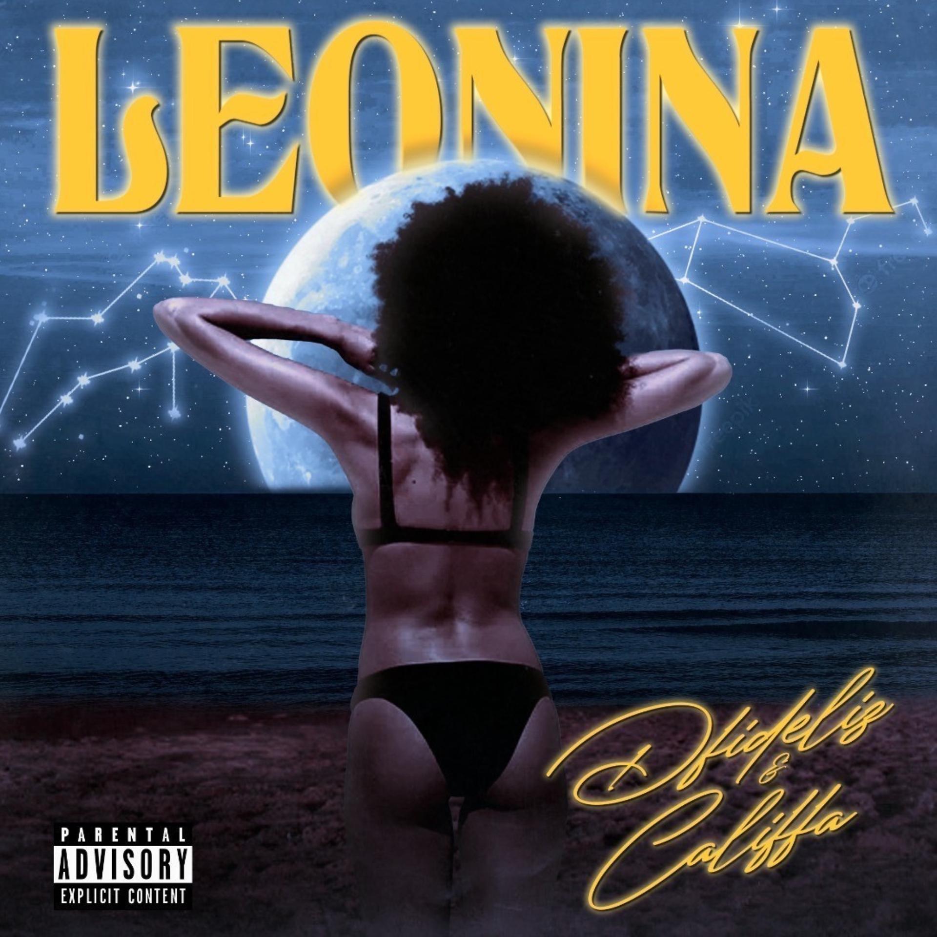 Постер альбома Leonina