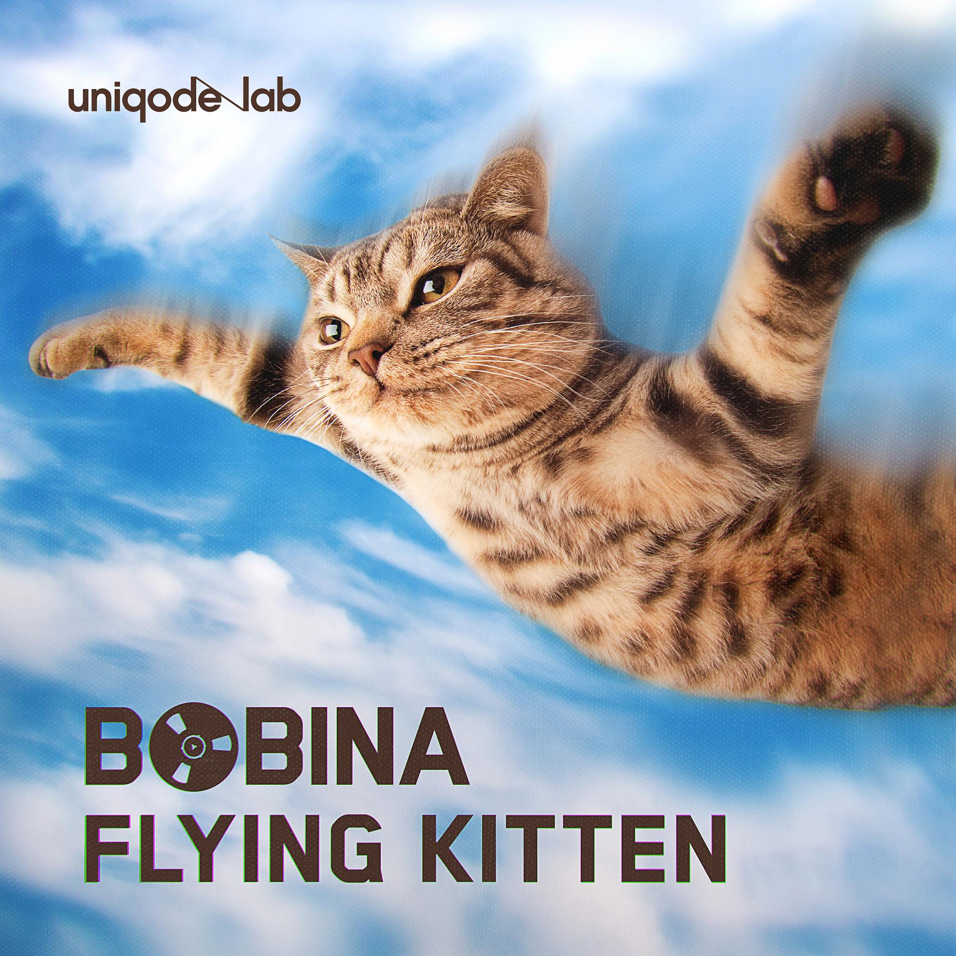 Постер альбома Flying Kitten