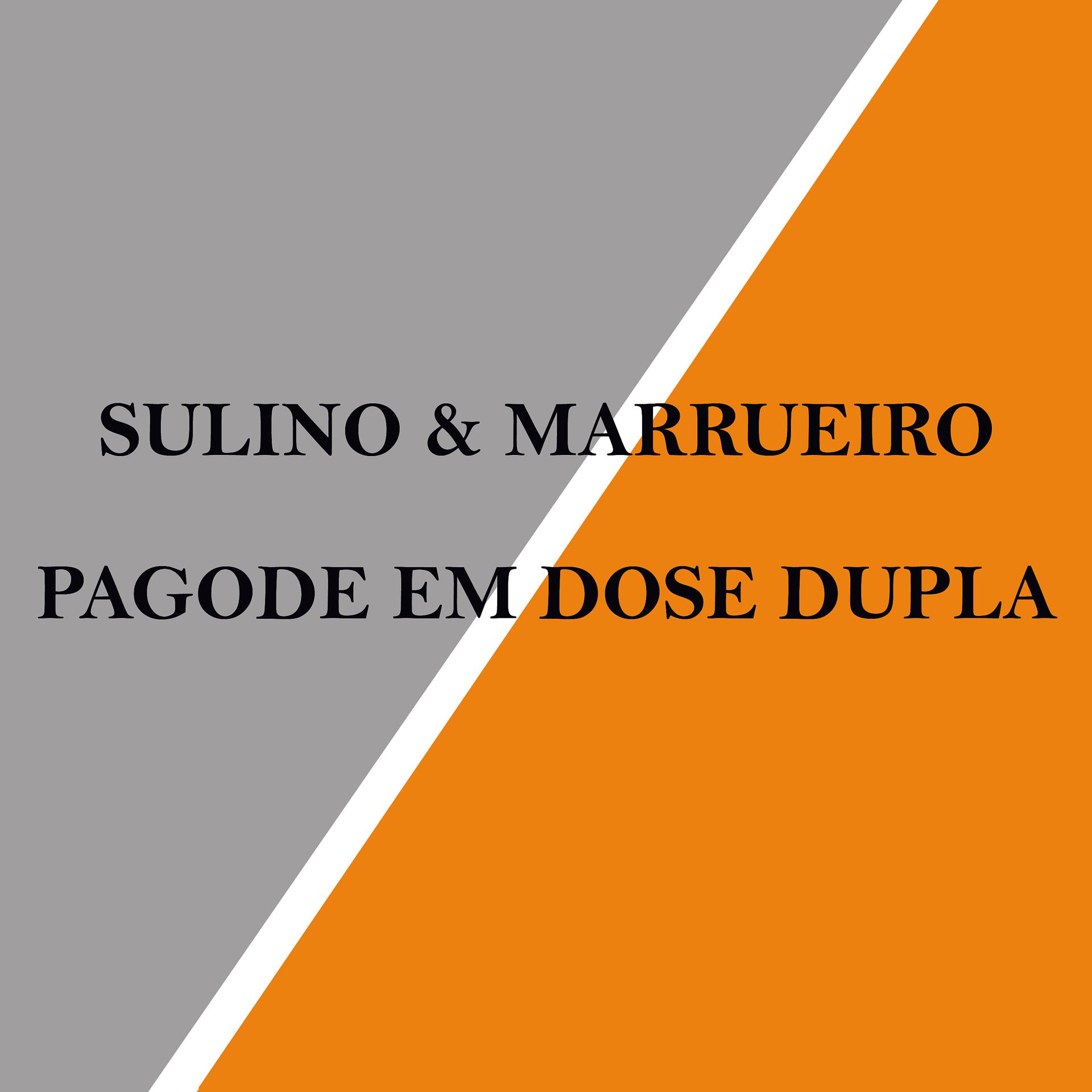 Постер альбома Pagode em Dose Dupla