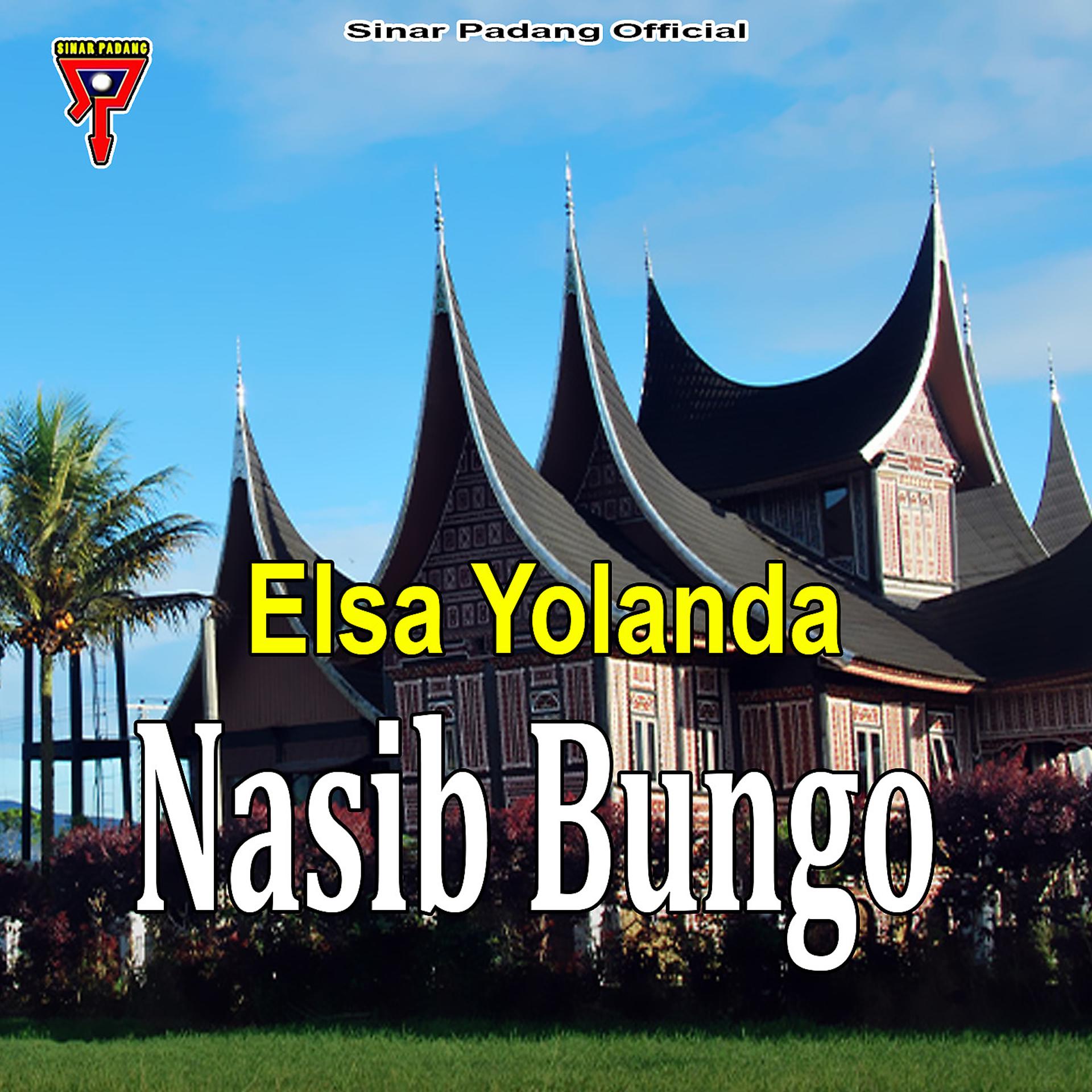 Постер альбома Nasib Bungo