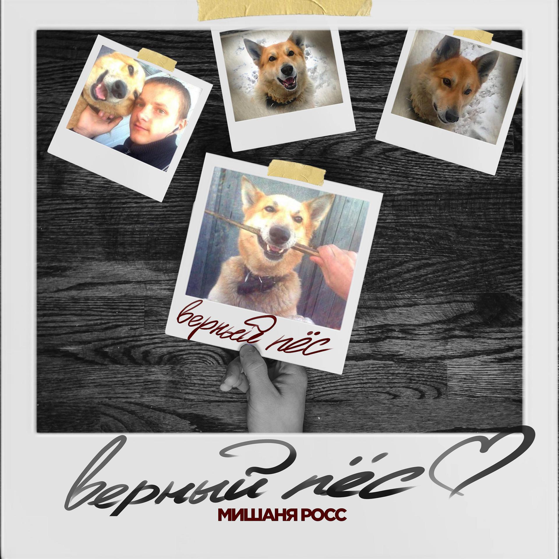 Постер альбома Верный пёс