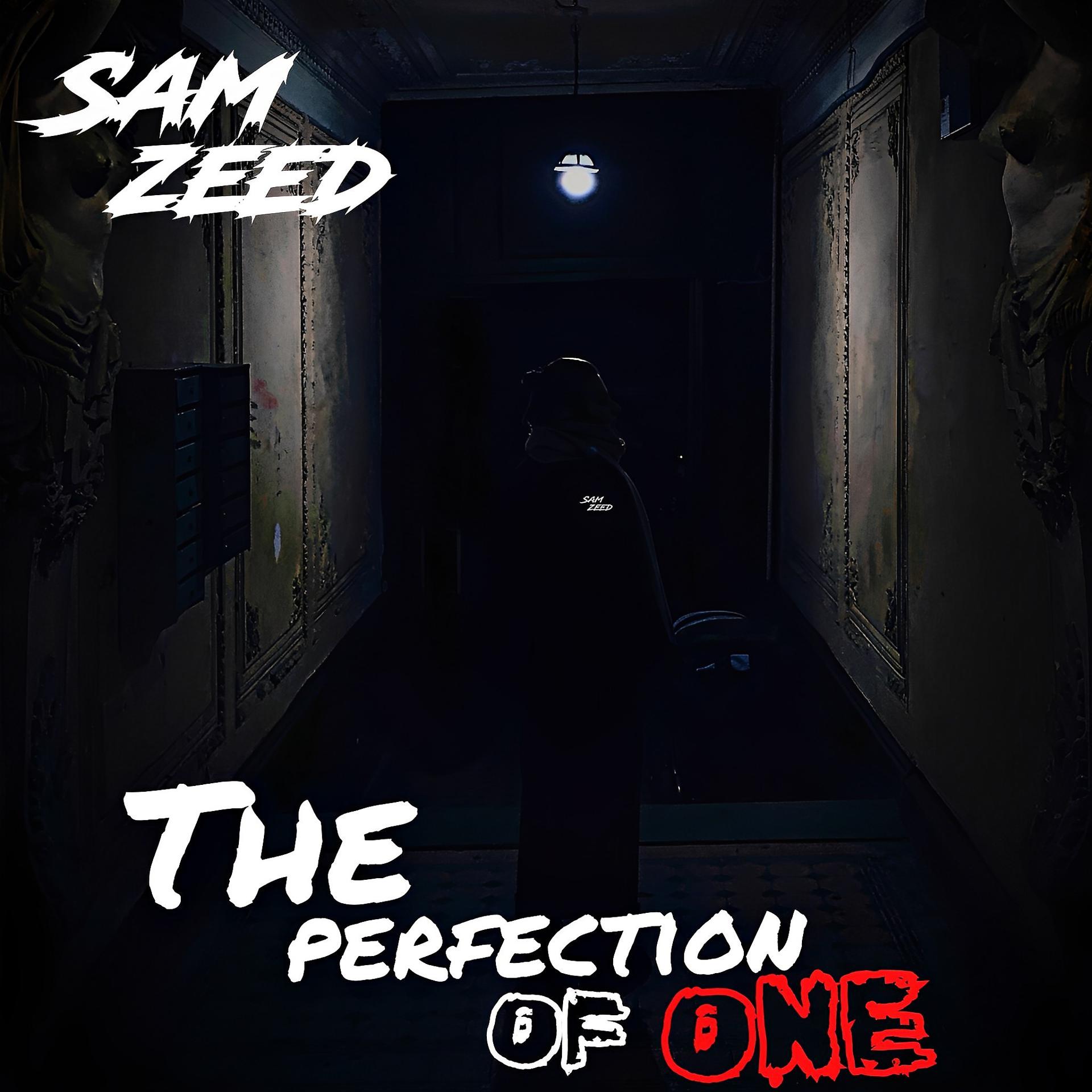 Постер альбома The Perfection of One