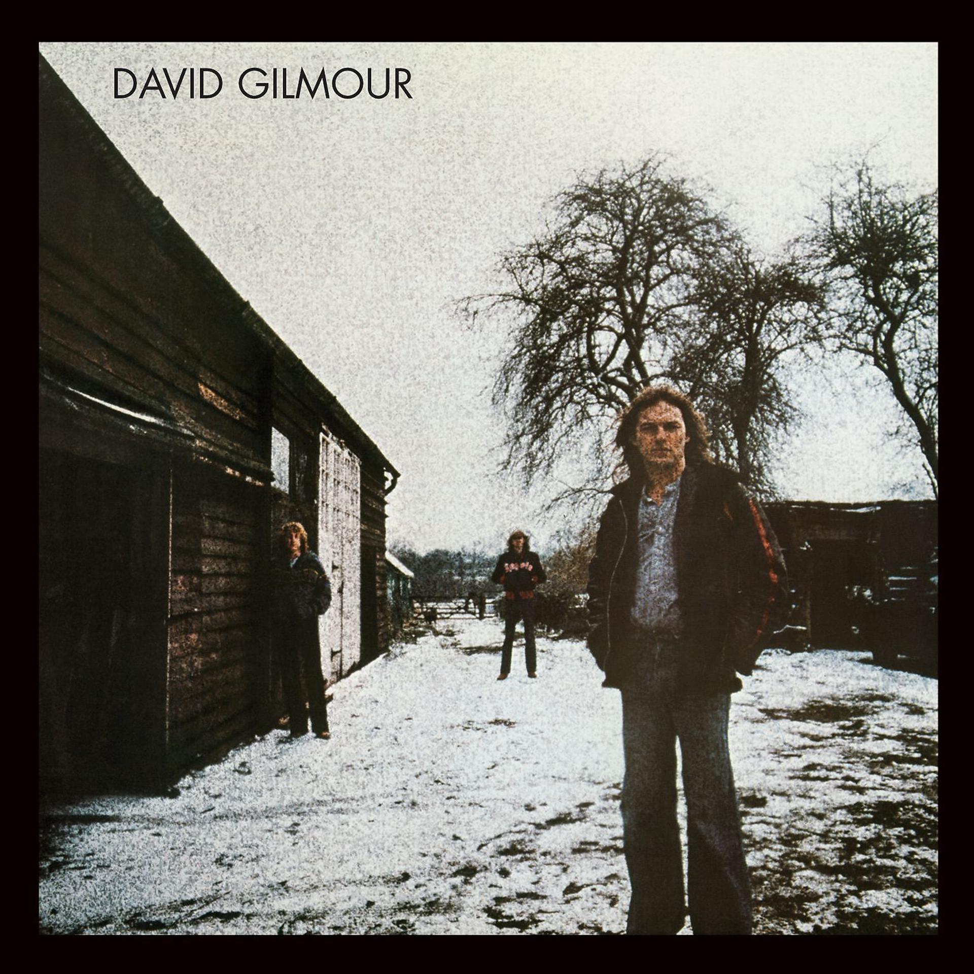 Постер альбома David Gilmour