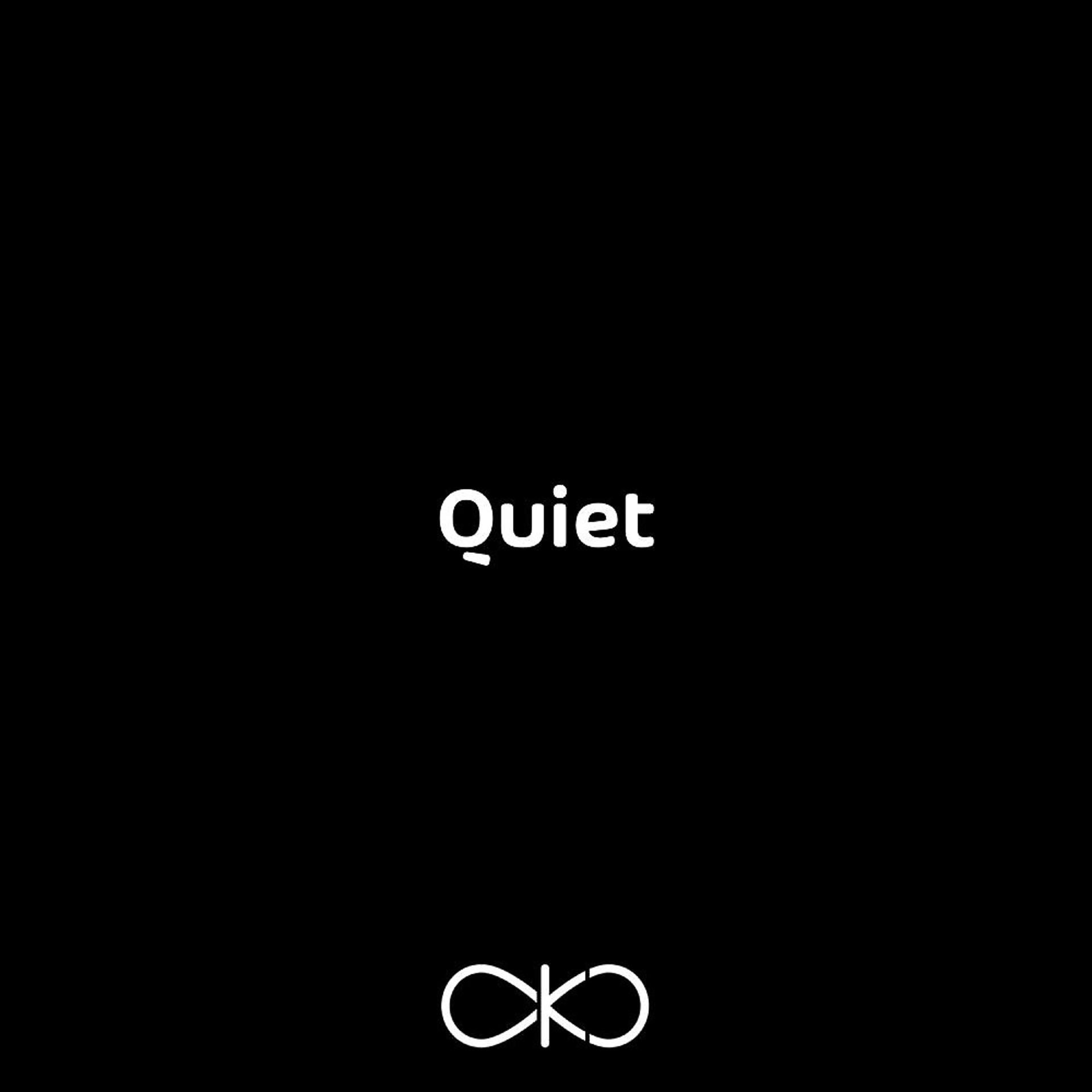 Постер альбома Quiet!