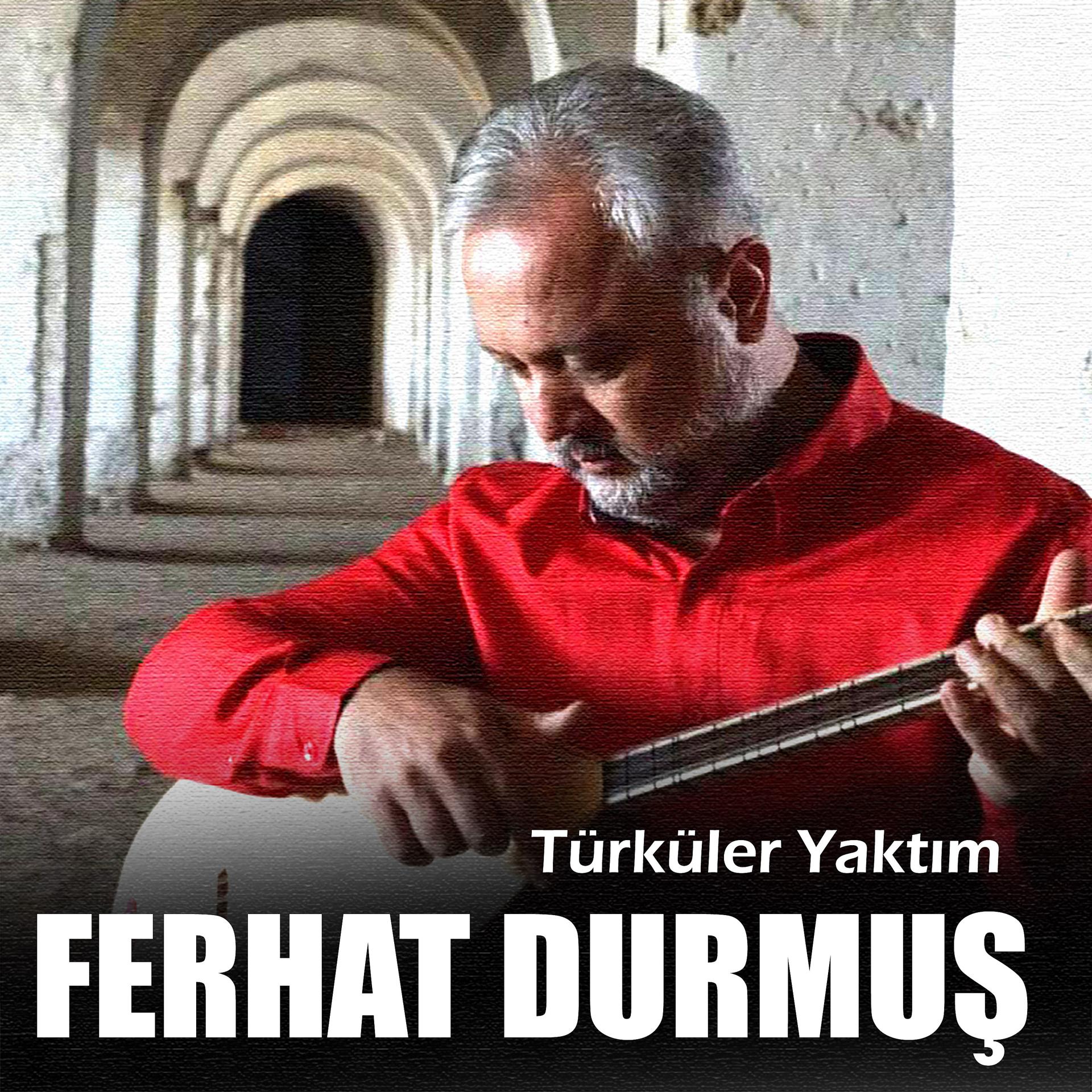 Постер альбома Türküler Yaktım
