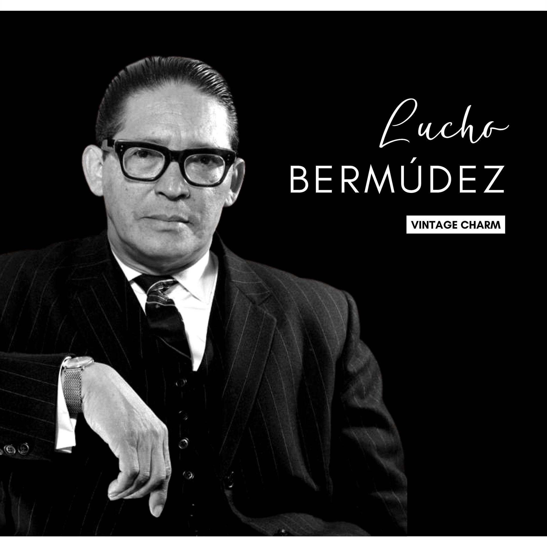 Постер альбома Lucho Bermúdez