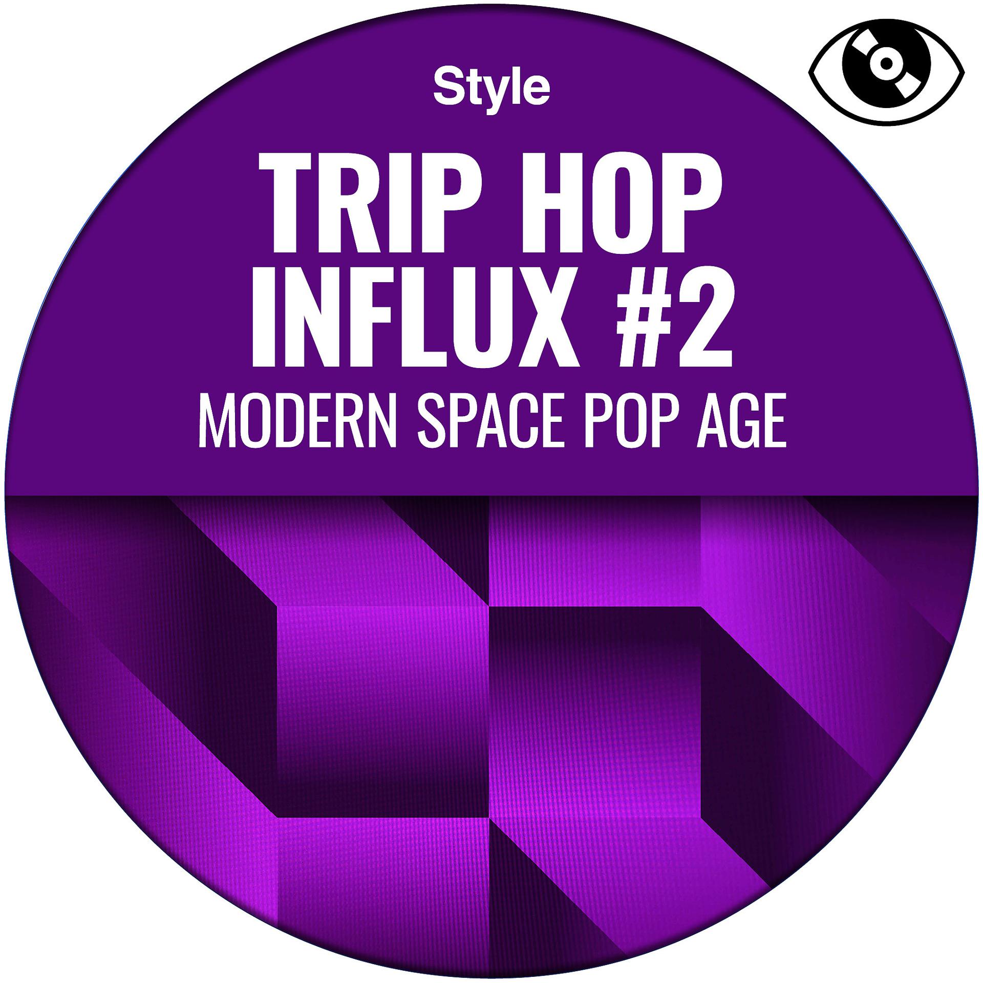 Постер альбома Trip Hop Influx #2