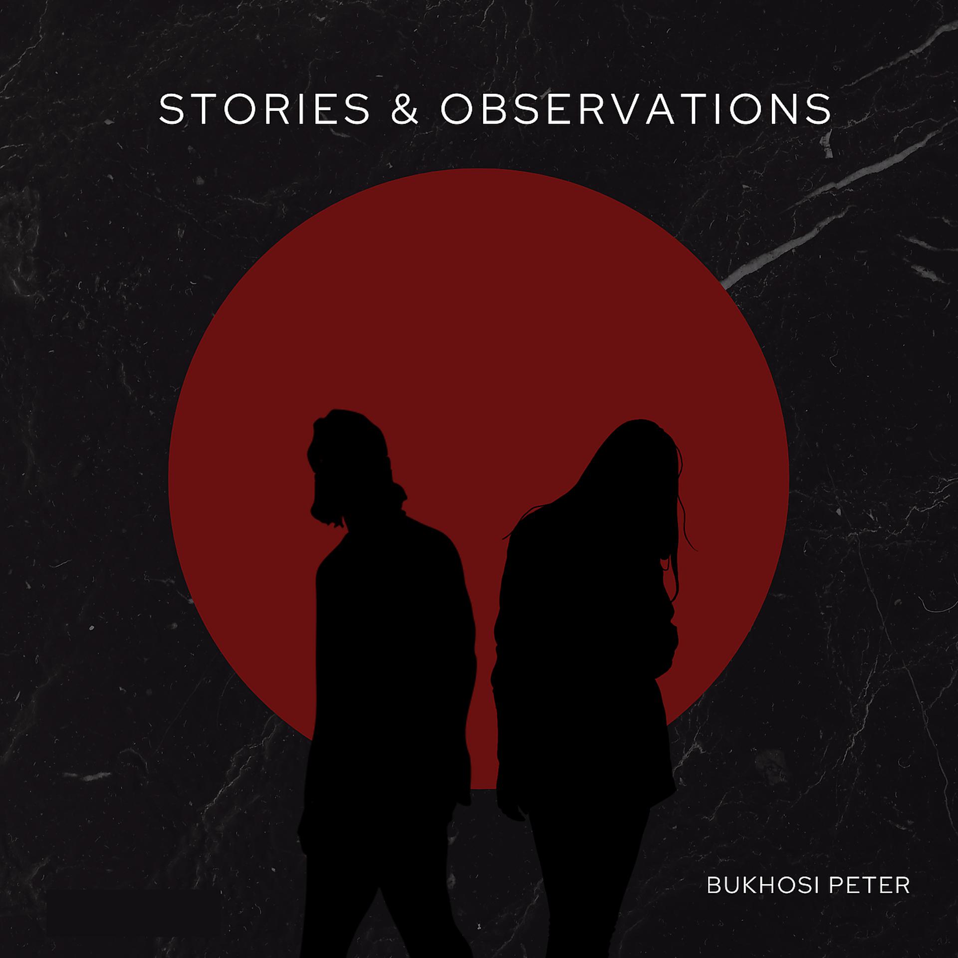 Постер альбома Stories & Observations